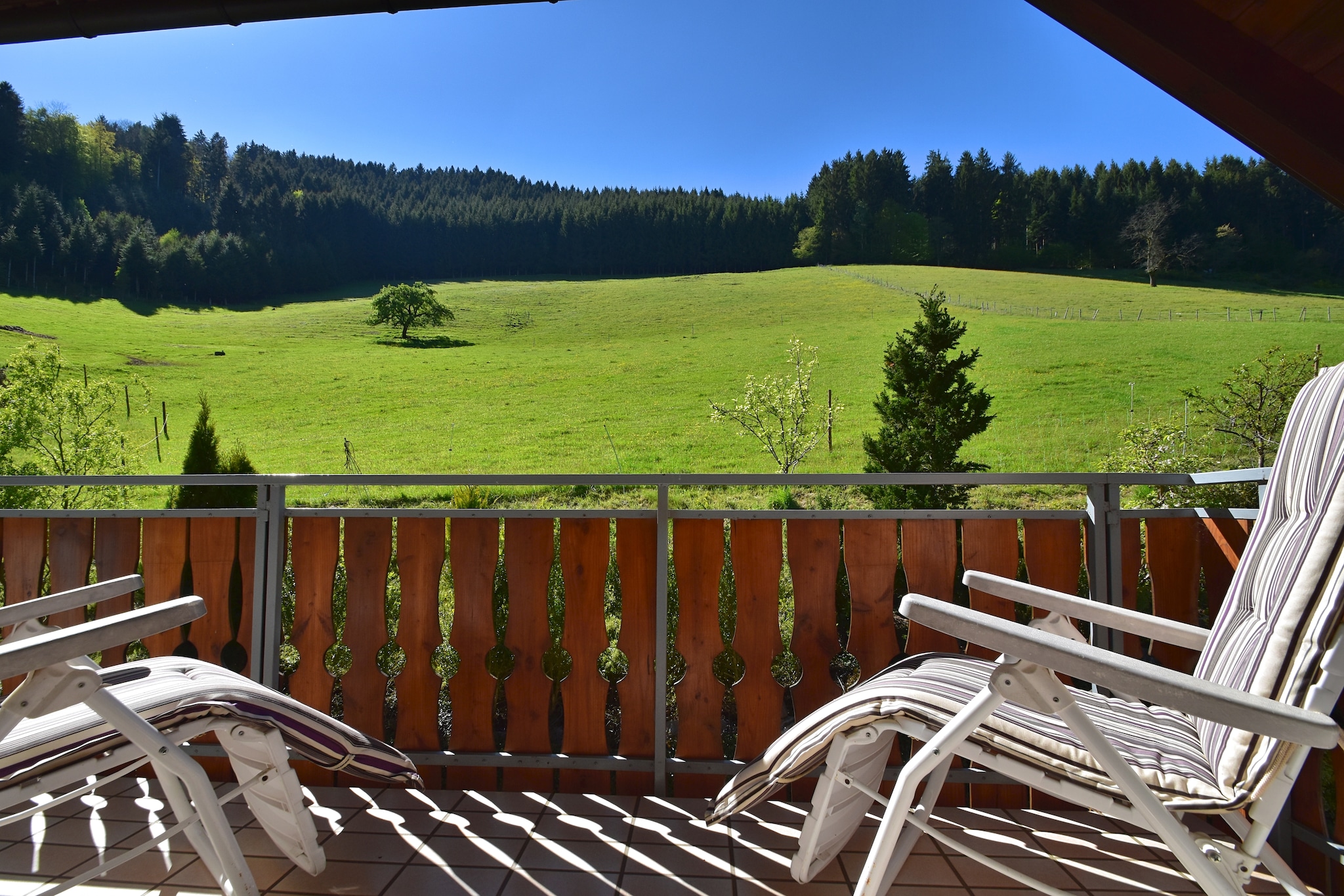Salmensbach - Terrasse/Balkon