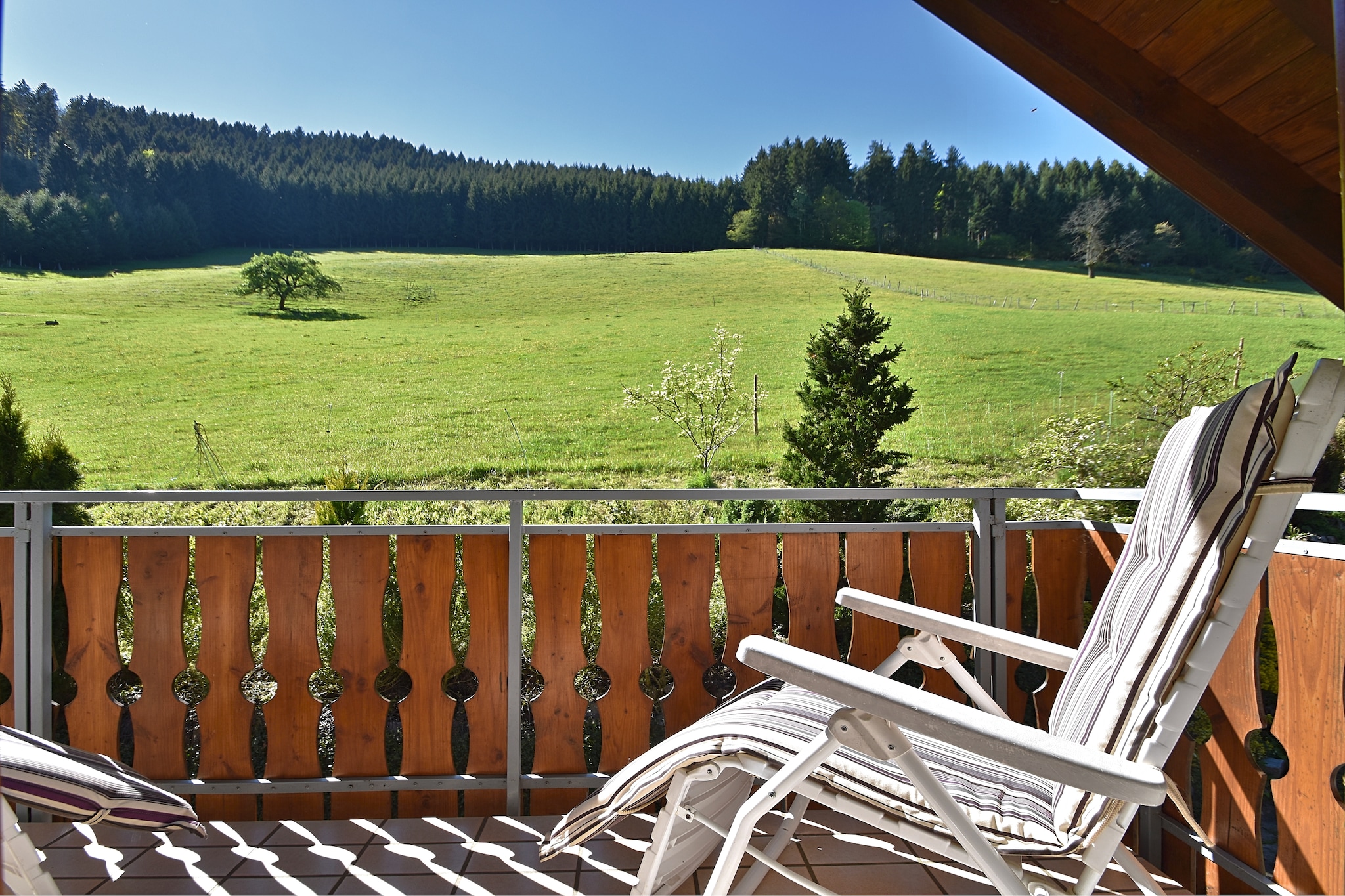 Salmensbach - Terrasse/Balkon