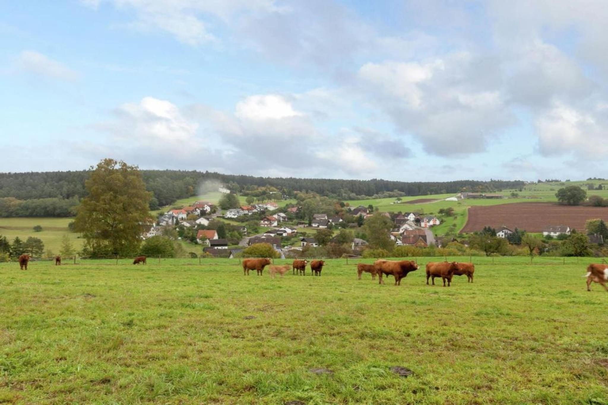 Waldacher Hof-Zones d'été à 20 km