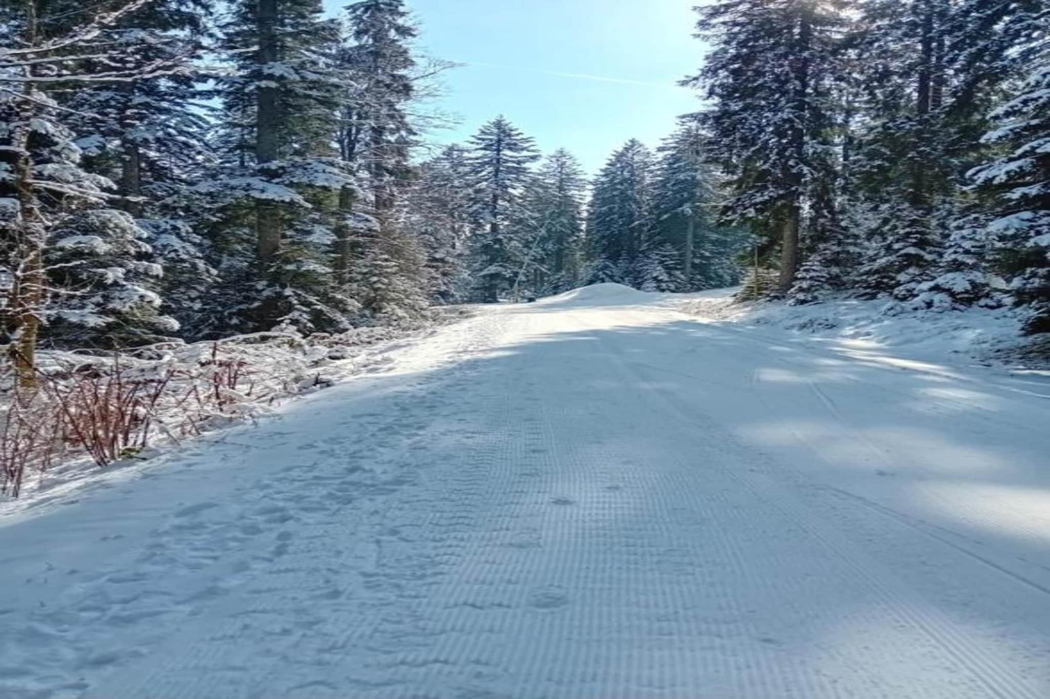 Waldacher Hof-Zone d'hiver à 20 km