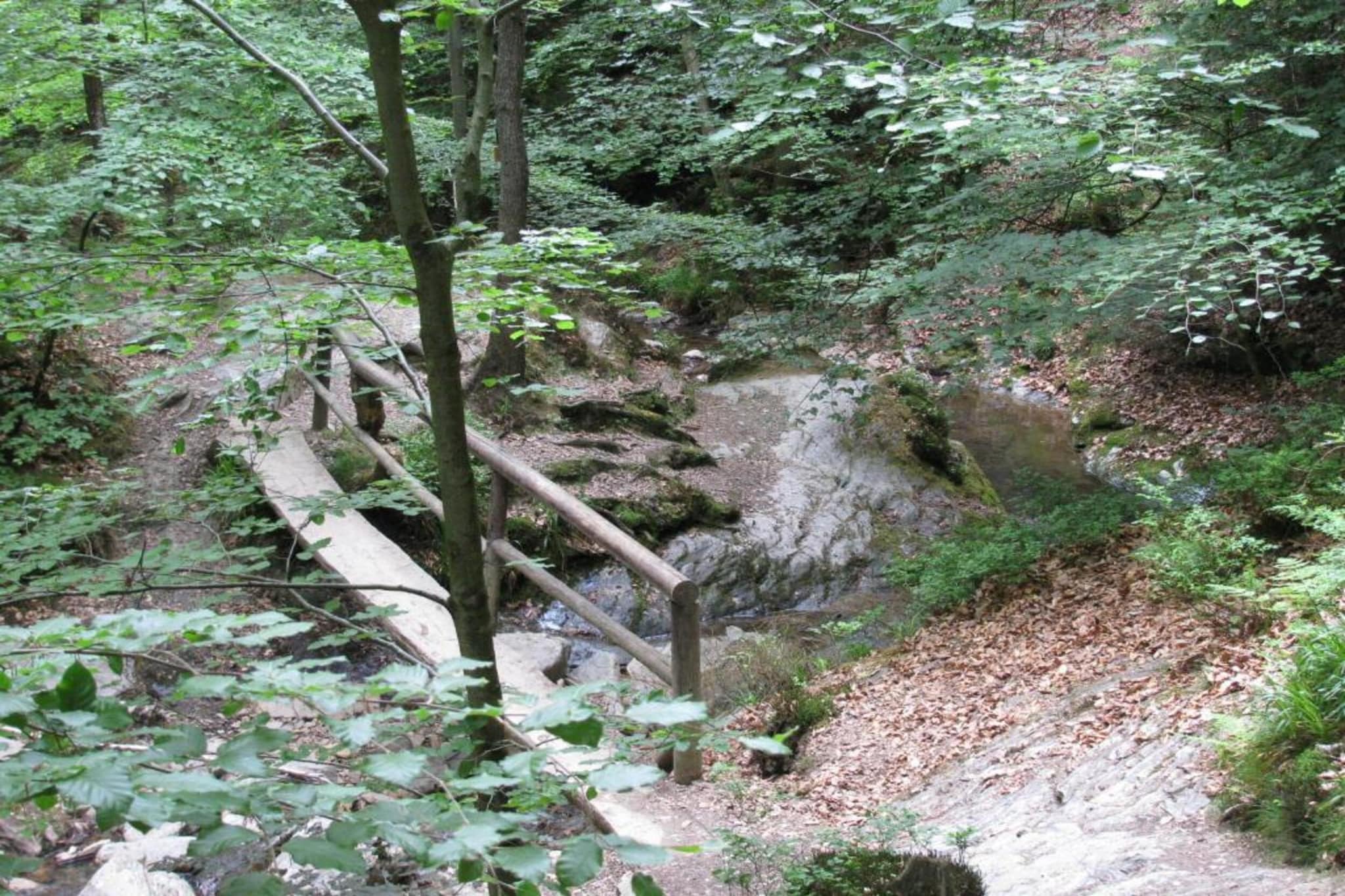Le Loup Veigné-Gebieden zomer 5km