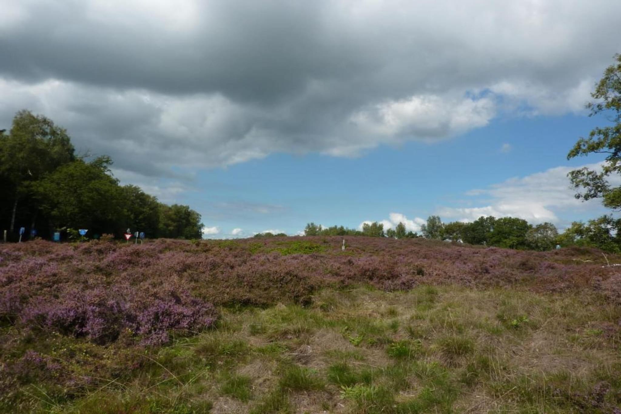 Vakantiepark Hunzedal 4-Gebieden zomer 20km