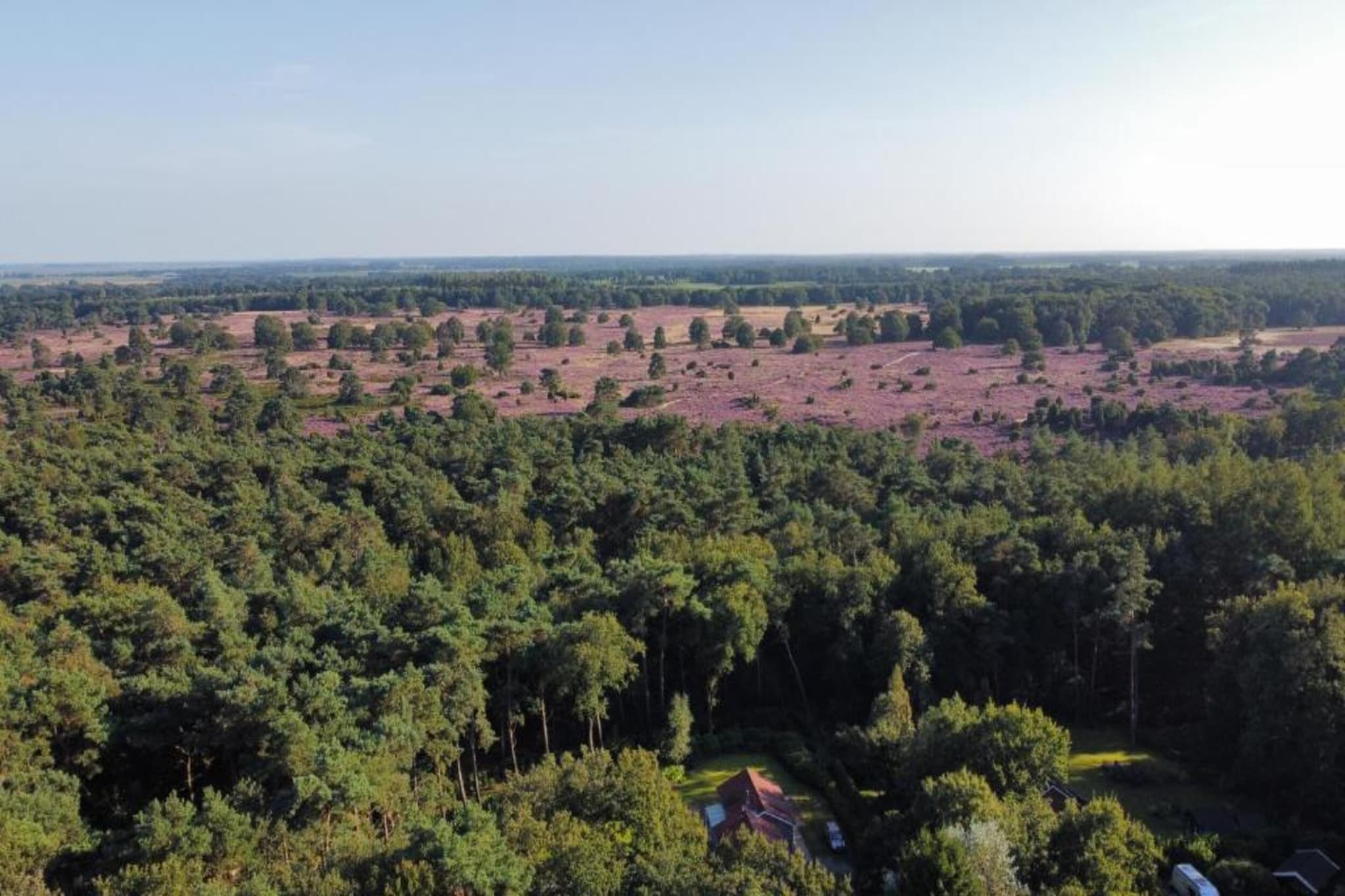 Vakantiepark Hunzedal 4-Gebieden zomer 20km