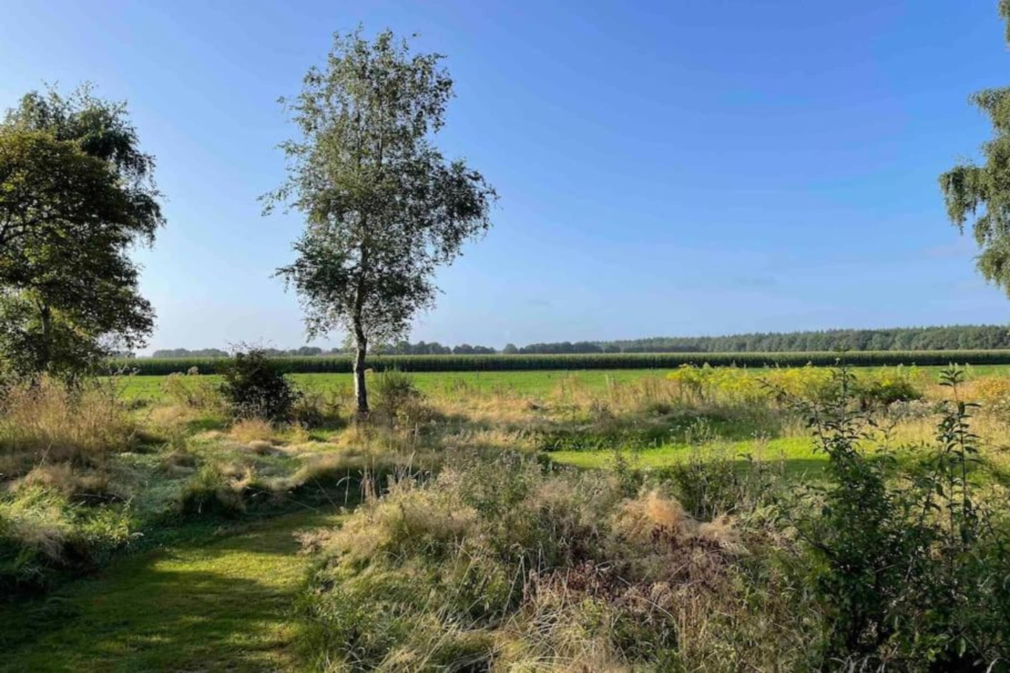 Vakantiepark Hunzedal 4-Gebieden zomer 20km