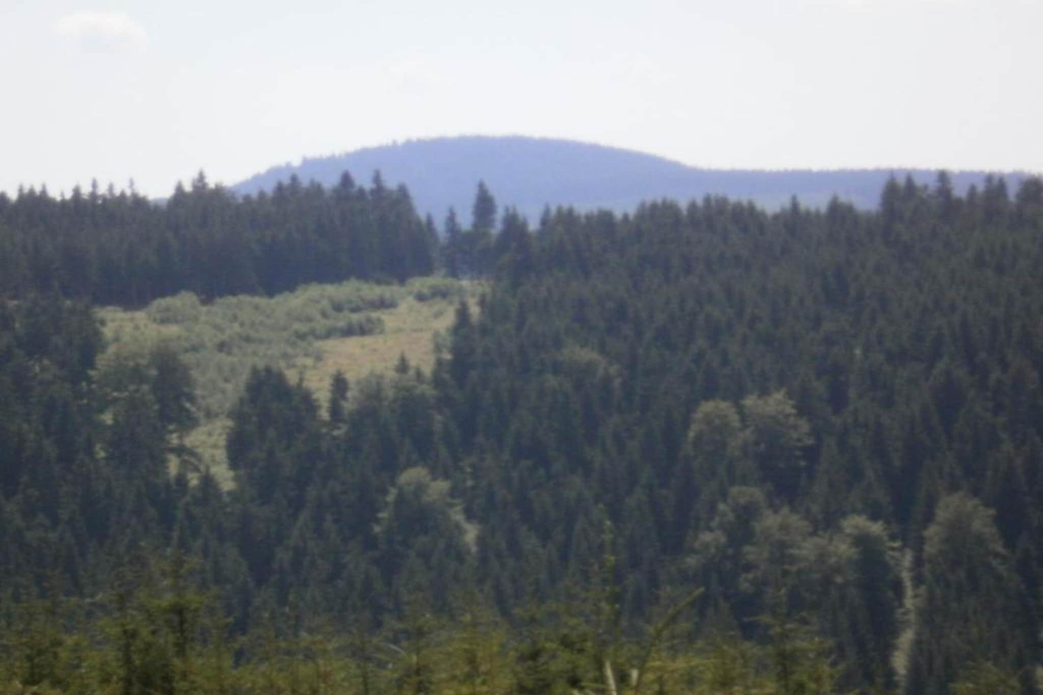 Rittersgrün-Gebieden zomer 20km
