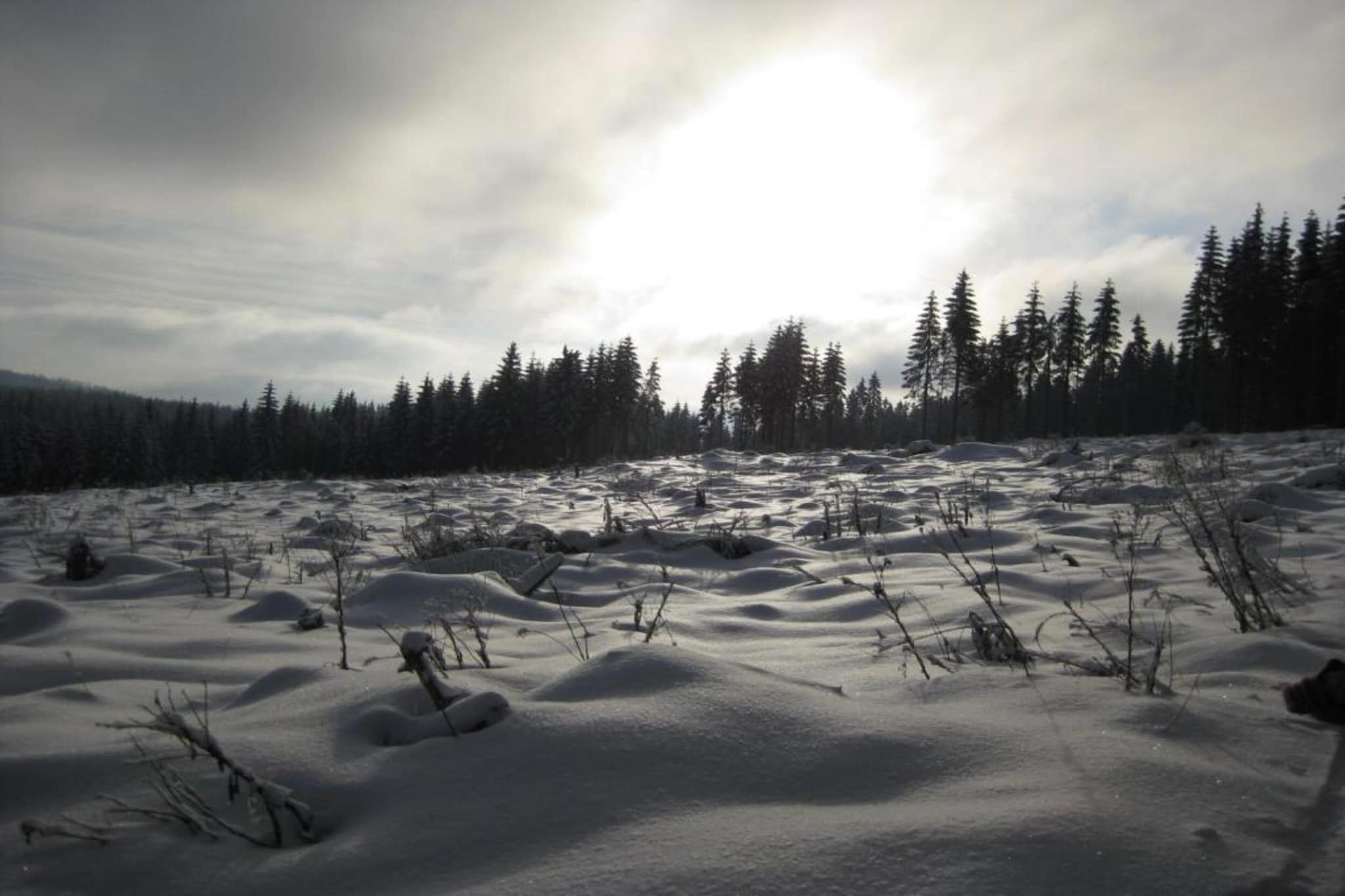 Rittersgrün-Gebied winter 20km