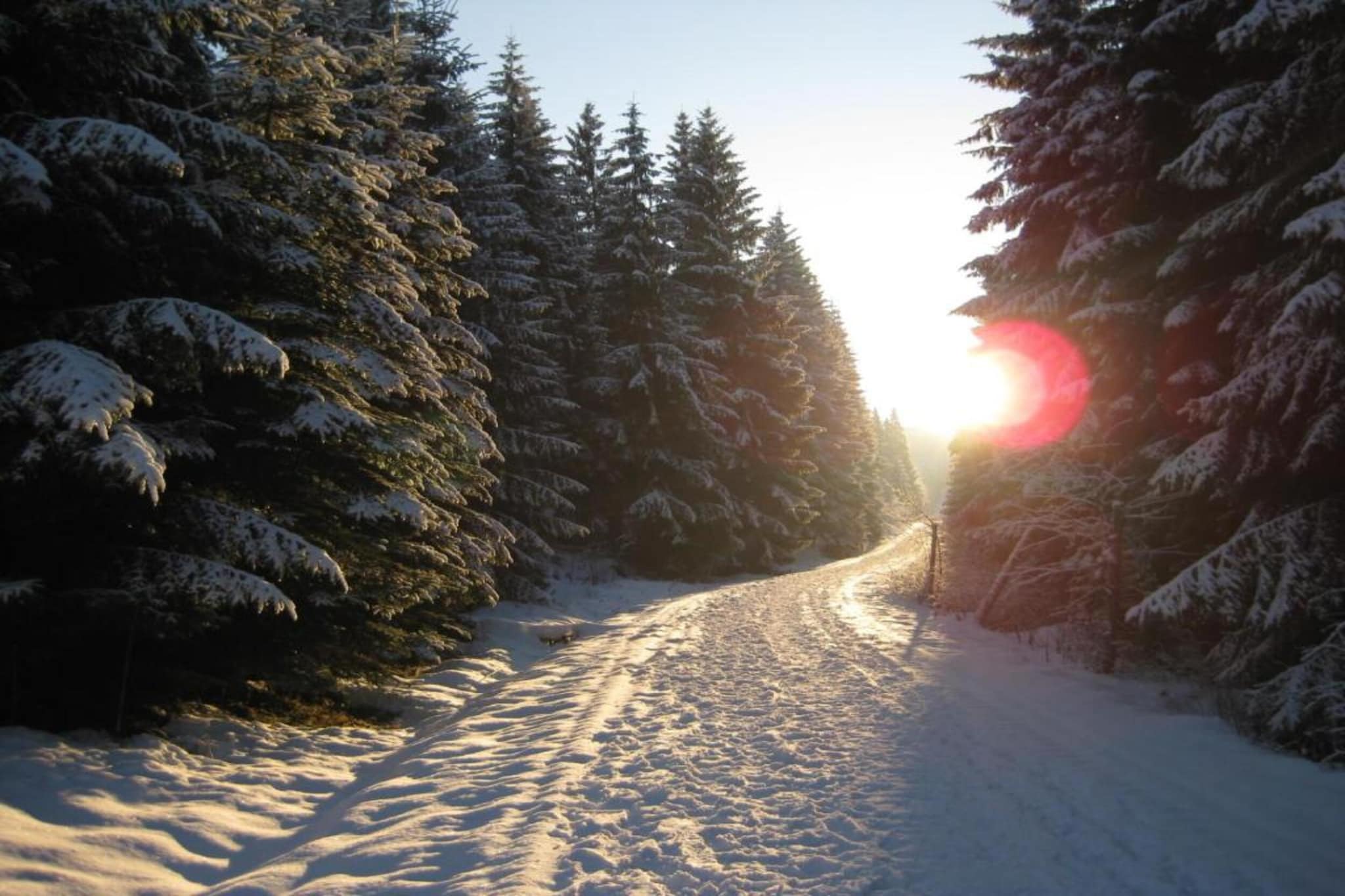Rittersgrün-Gebied winter 20km