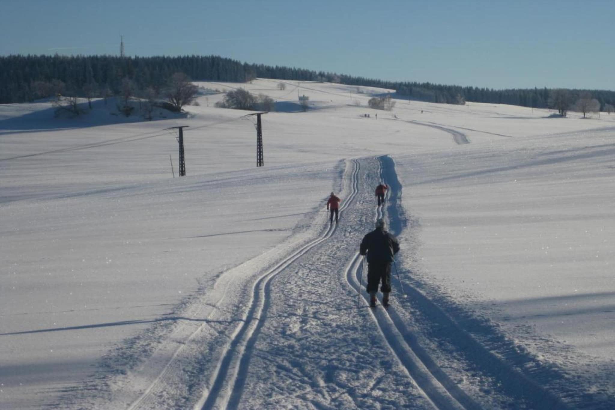 Rittersgrün-Gebied winter 20km