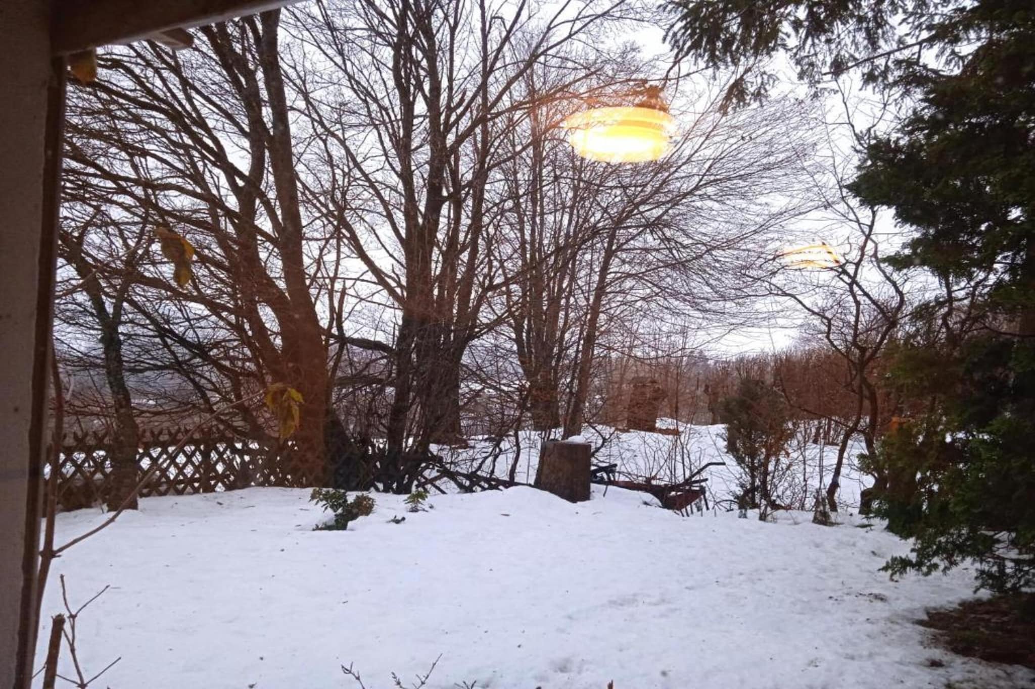 Im Zorger Tal-Area winter 20km