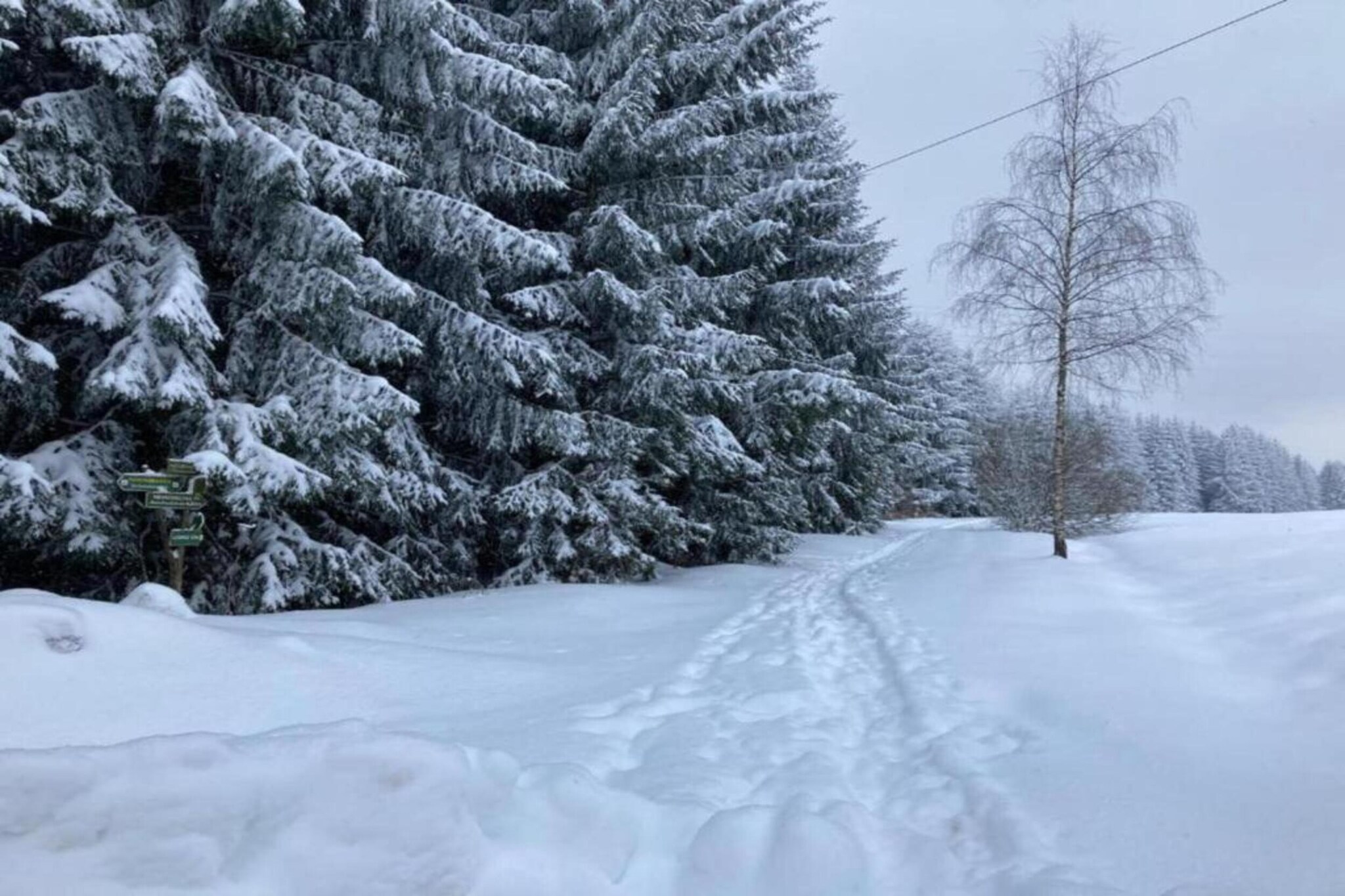 Dorothea-Zone d'hiver à 5 km