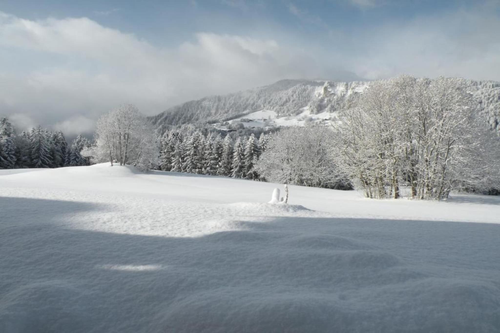 Résidence Les Belles Roches 2-Gebied winter 20km