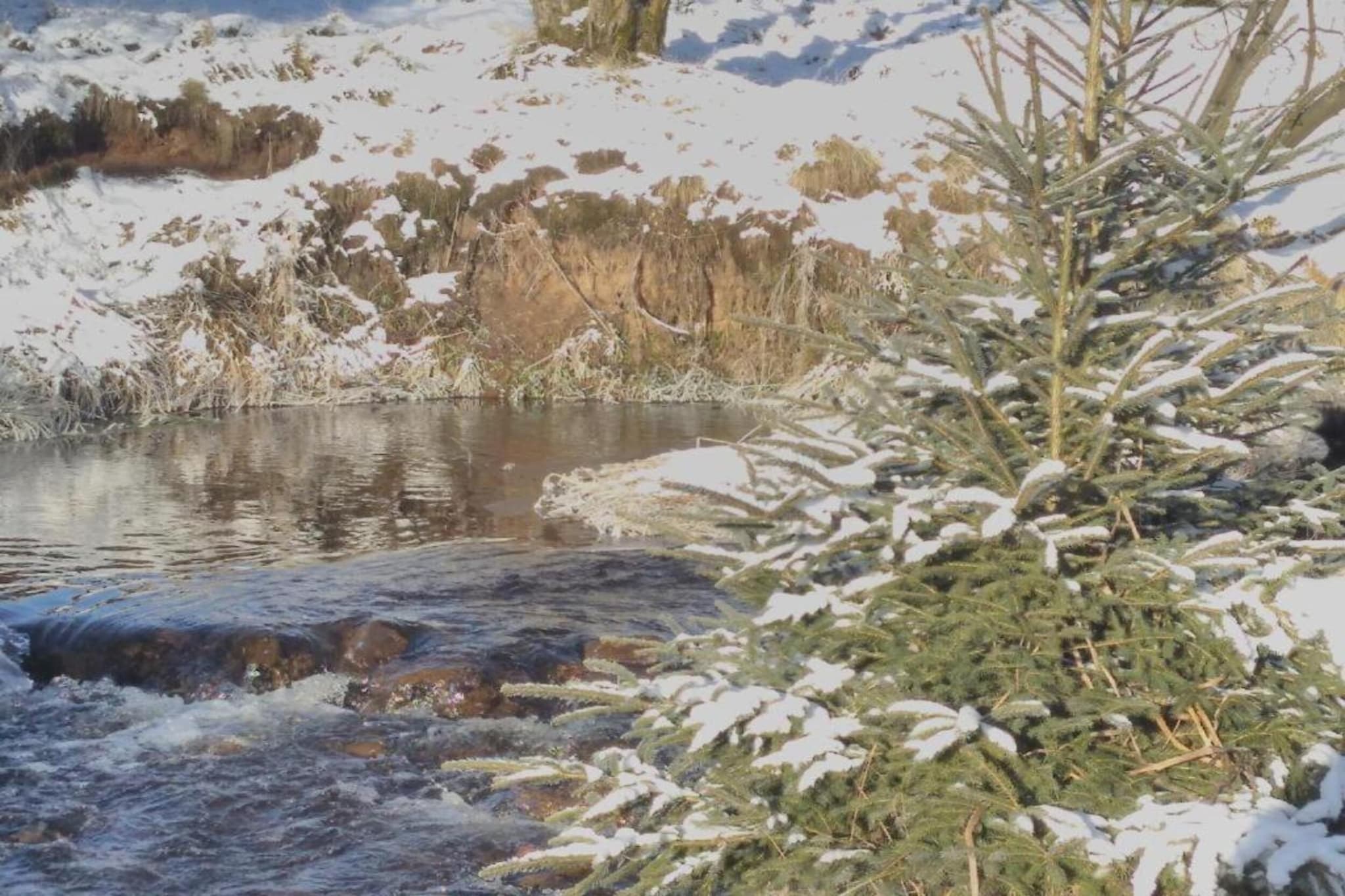 Abertamy-Zone d'hiver à 5 km