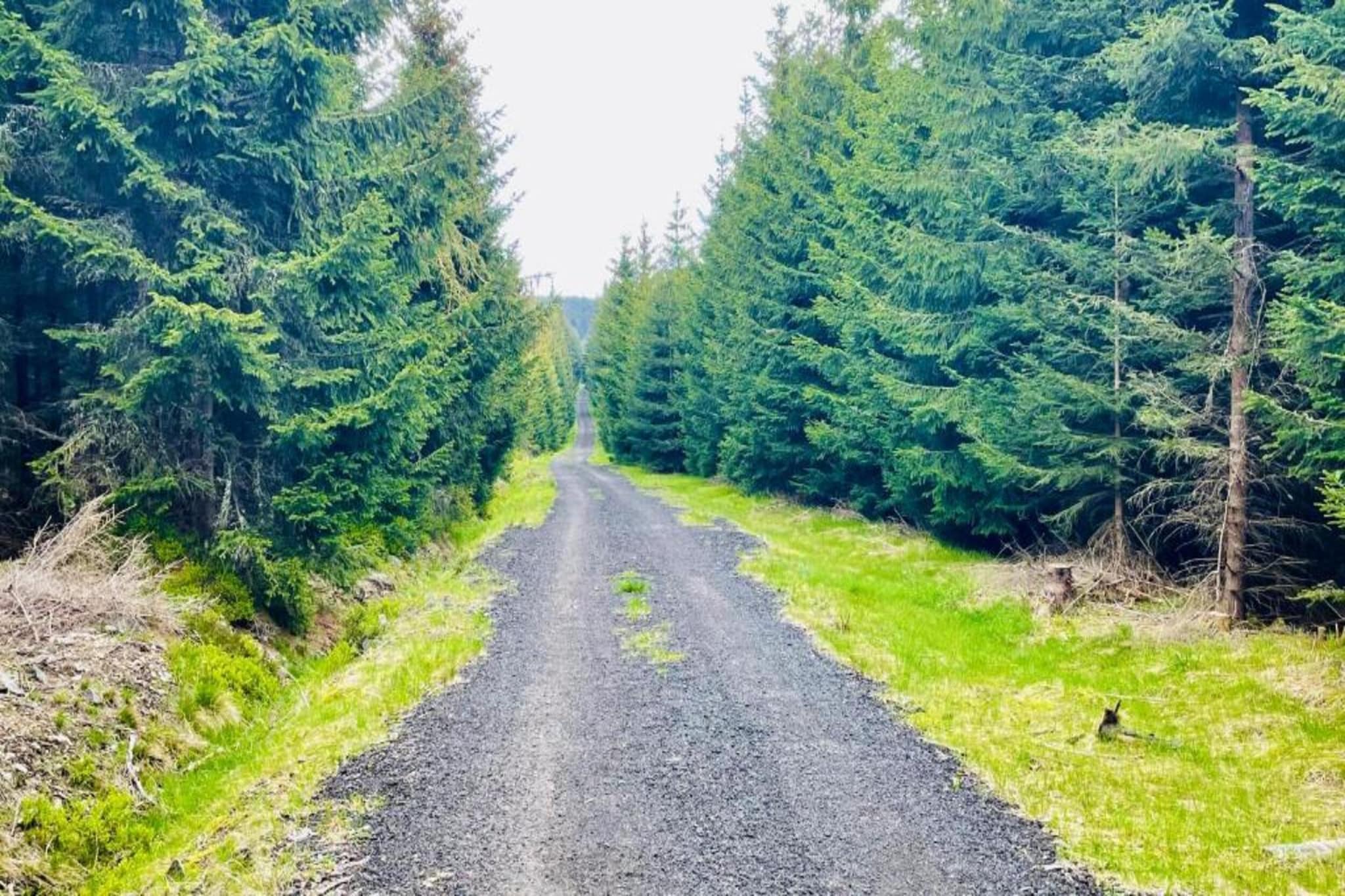 Abertamy-Zones d'été à 5 km