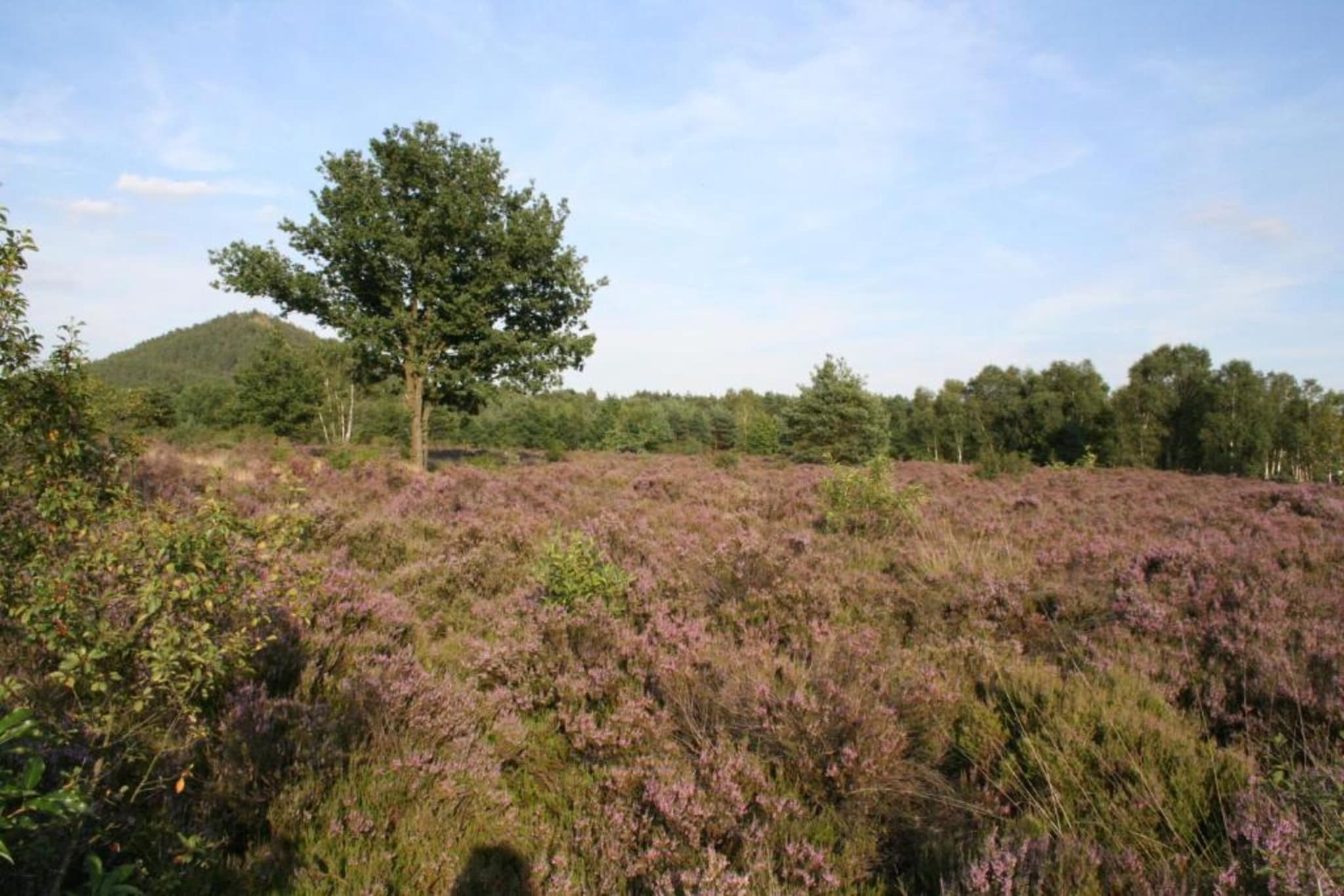 Het Bloesemklooster-Gebiete Sommer 20 km