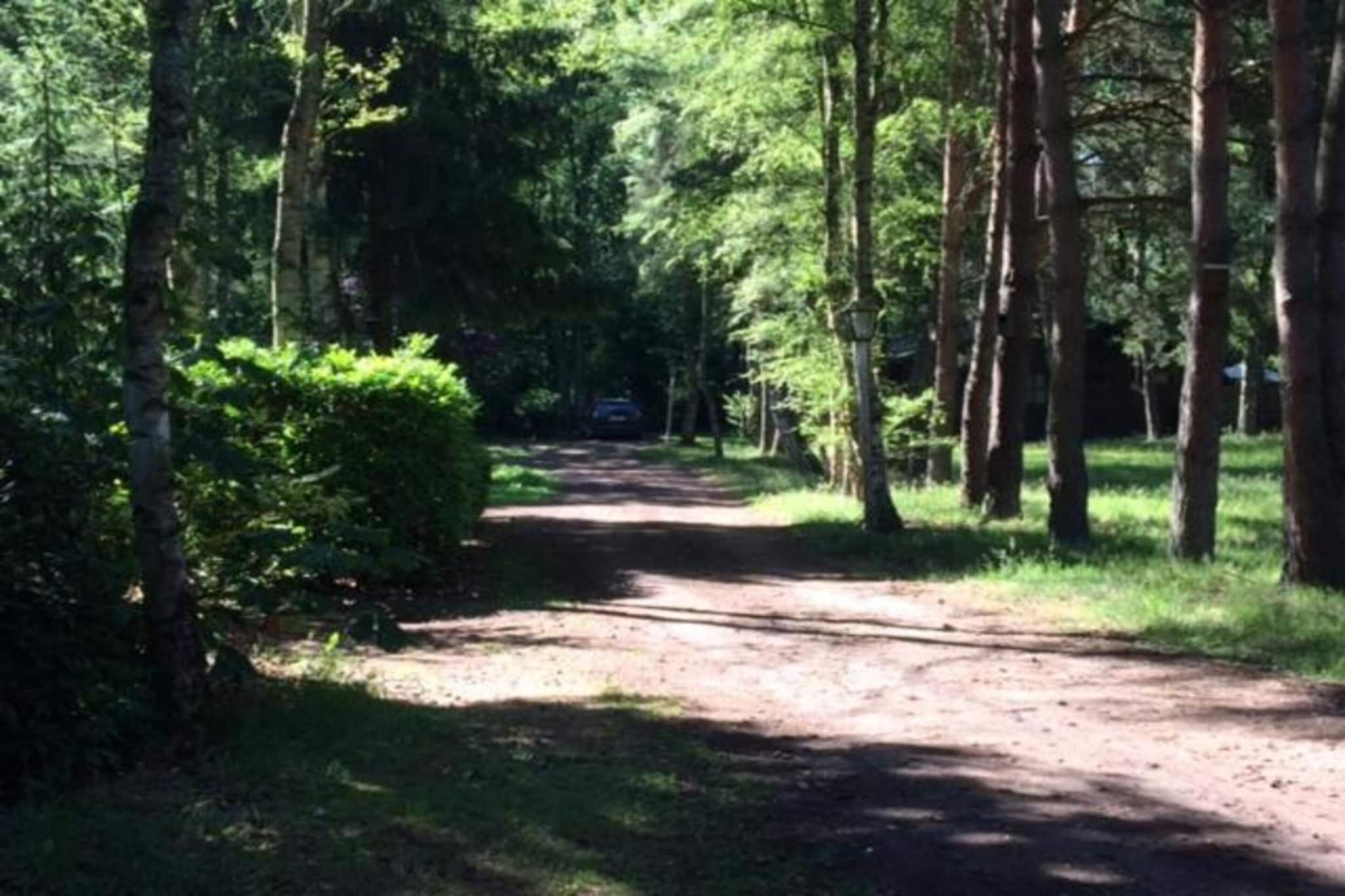 Het Bloesemklooster-Gebiete Sommer 20 km