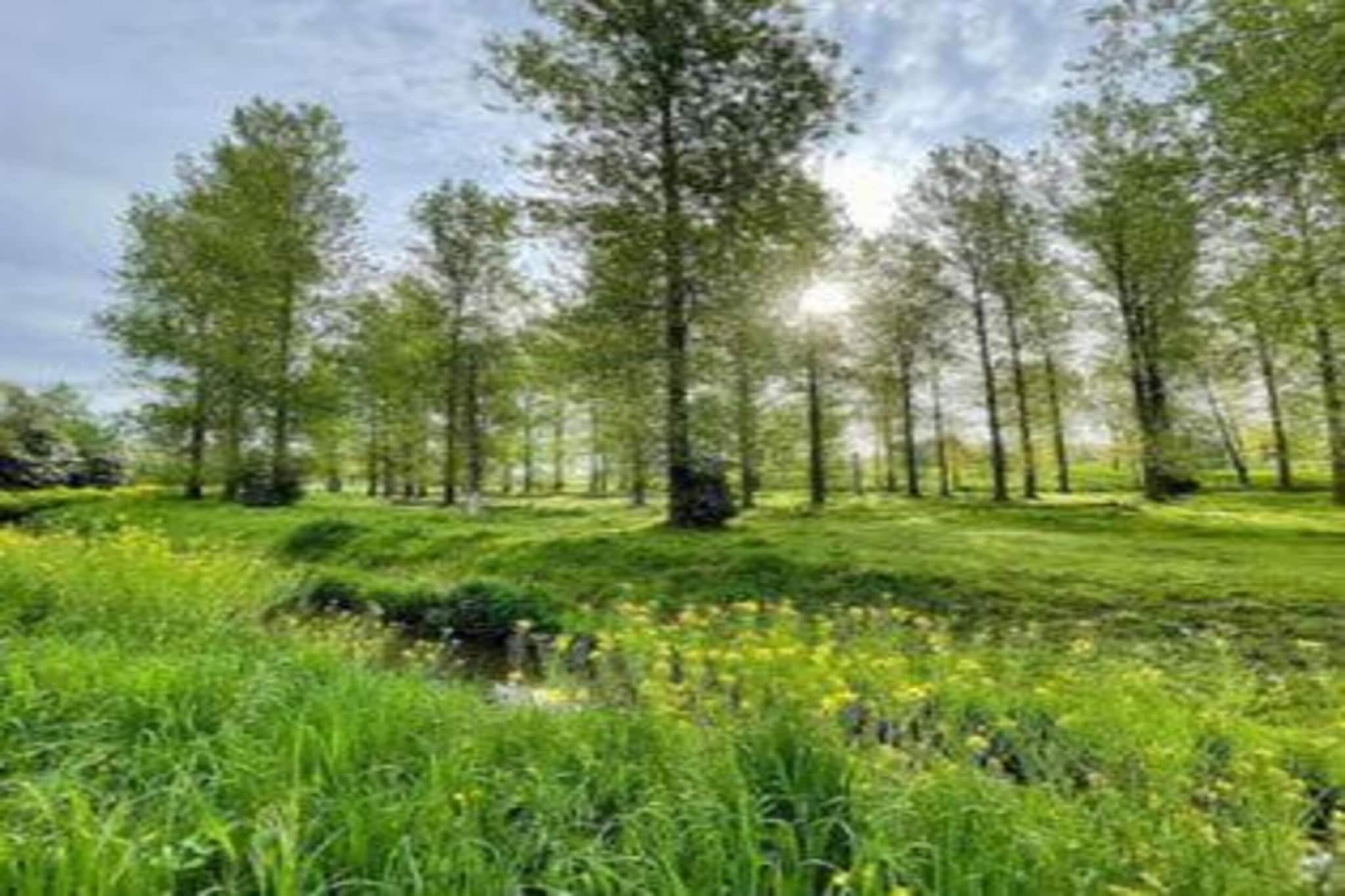 Het Bloesemklooster-Gebiete Sommer 20 km