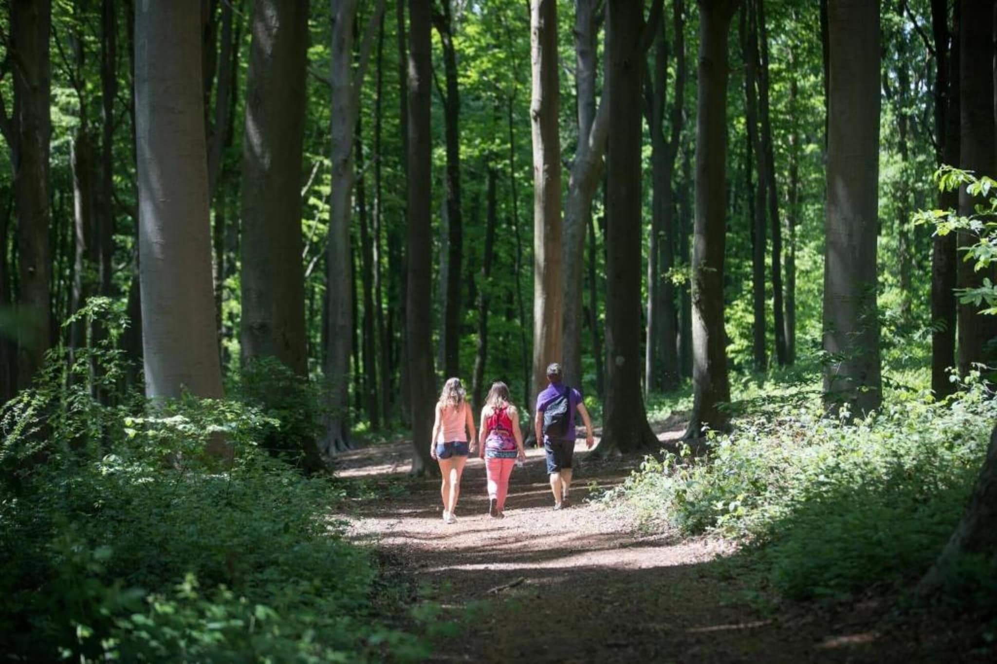 Het Bloesemklooster-Gebiete Sommer 20 km