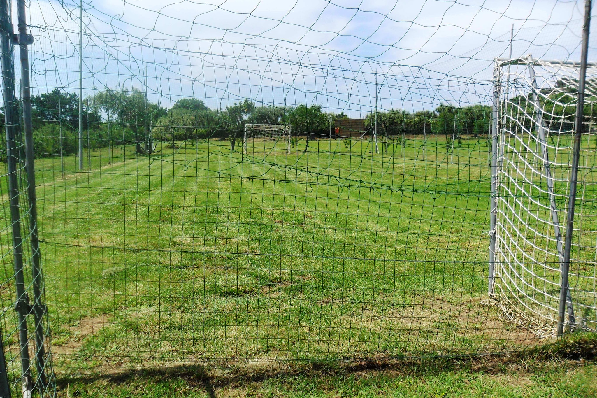 Tartufo Pizzo-Tuinen zomer