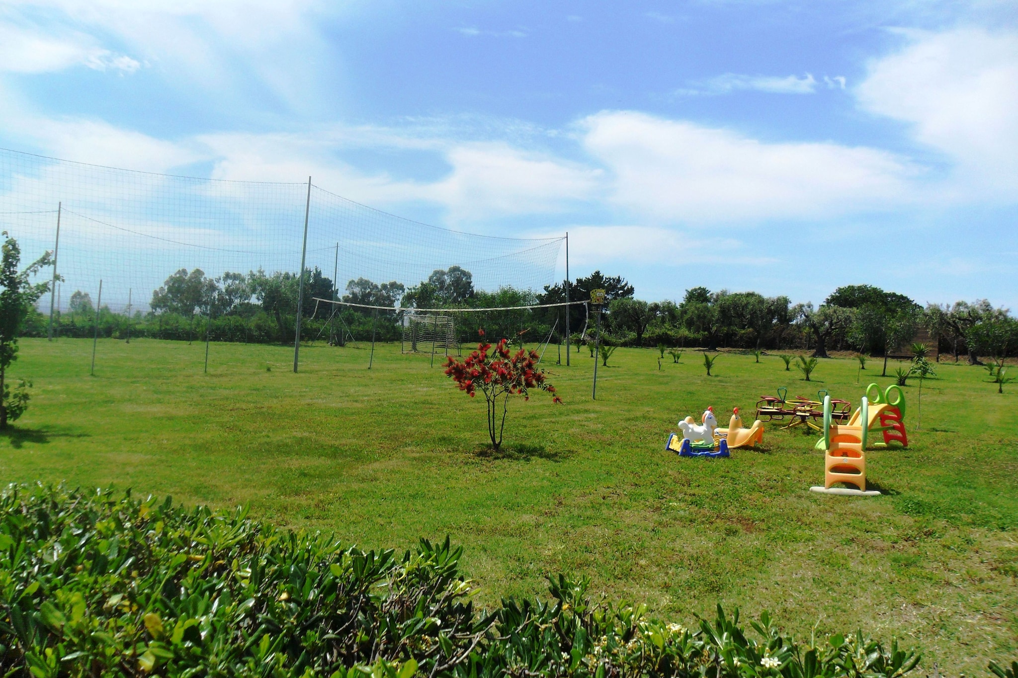 Tartufo Pizzo-Tuinen zomer