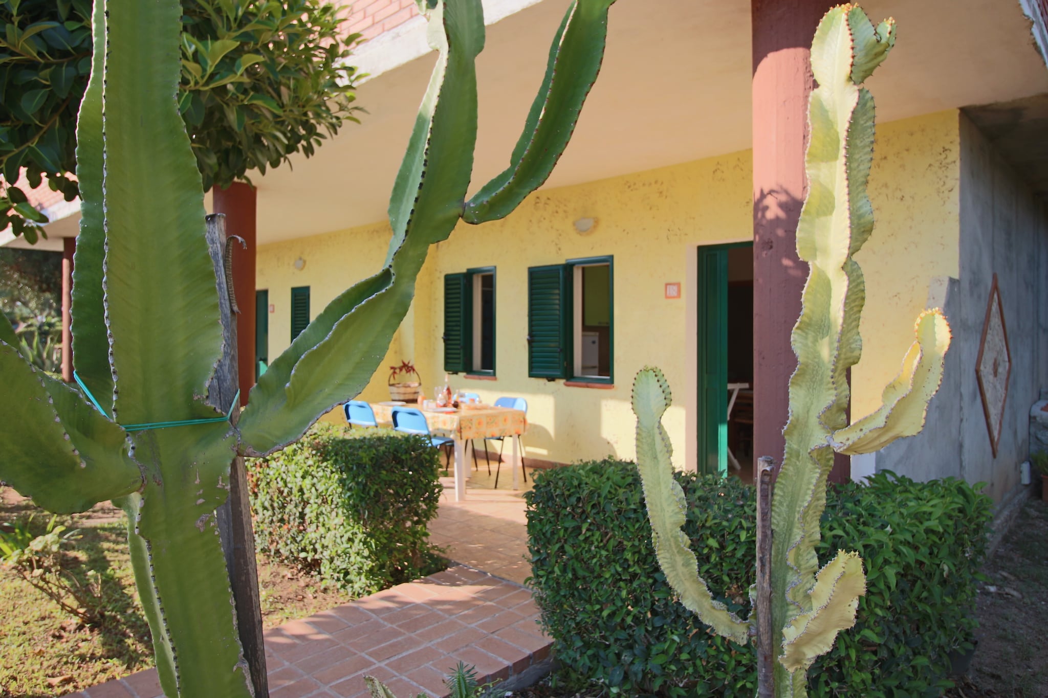 Tartufo Pizzo-Buitenkant zomer