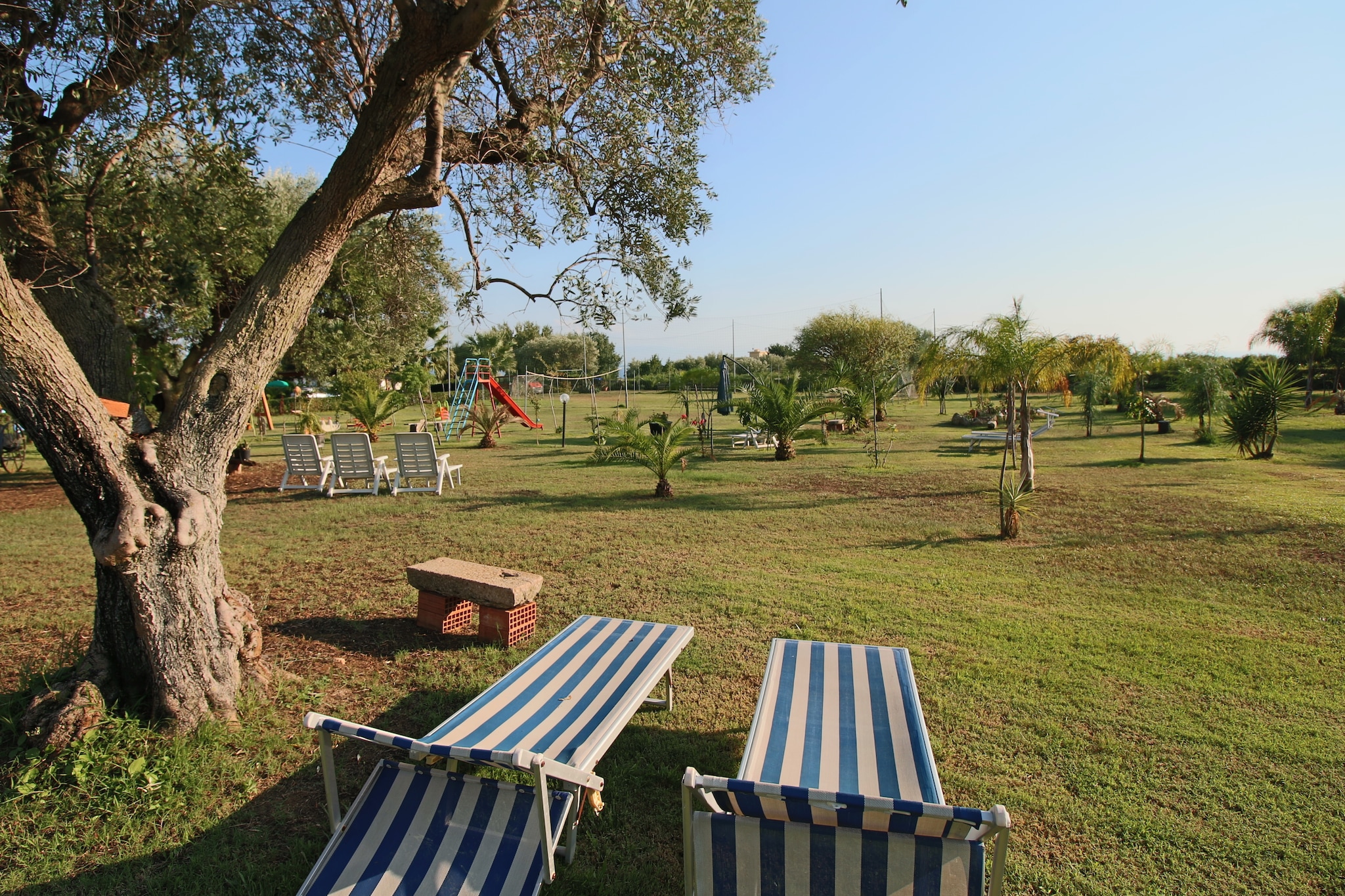 Tartufo Pizzo-Tuinen zomer