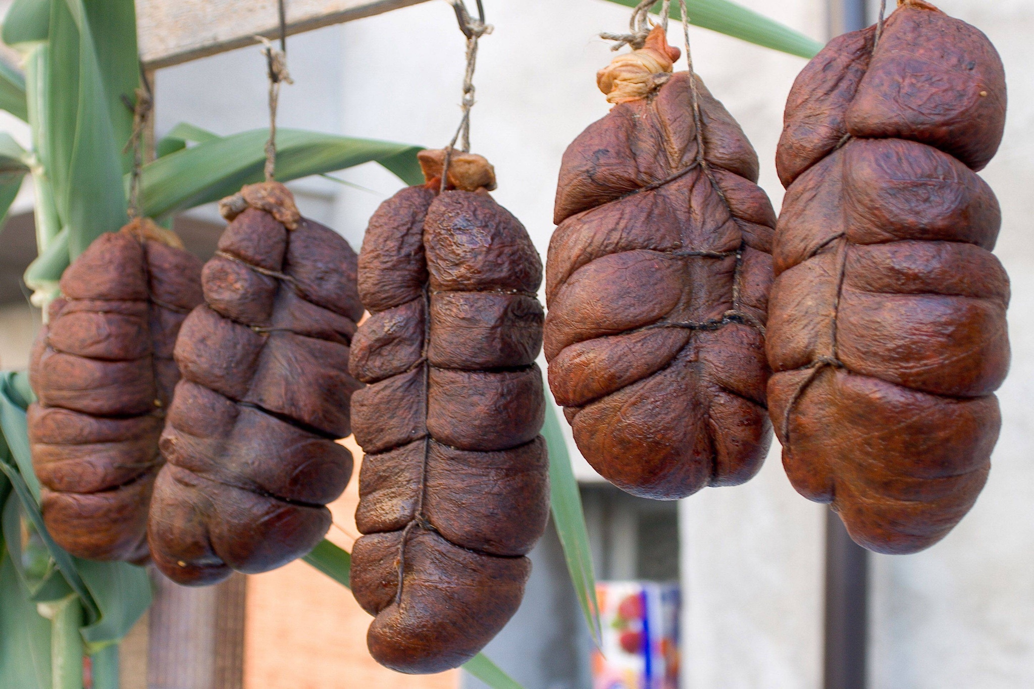 Heaven-Gebieden zomer 20km