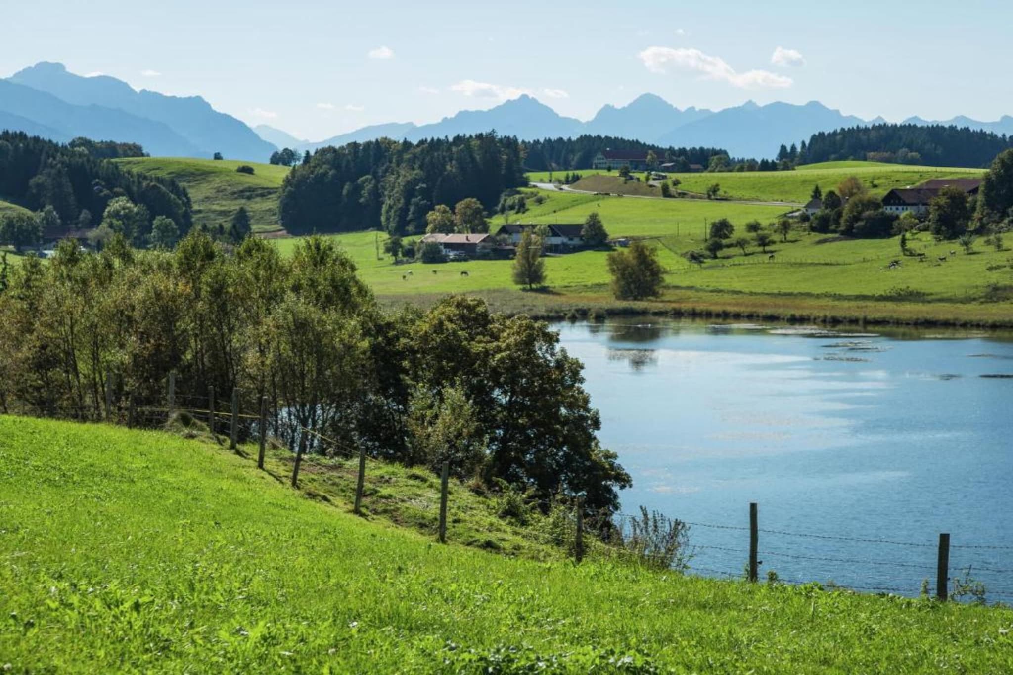 Alpenblick-Gebieden zomer 20km