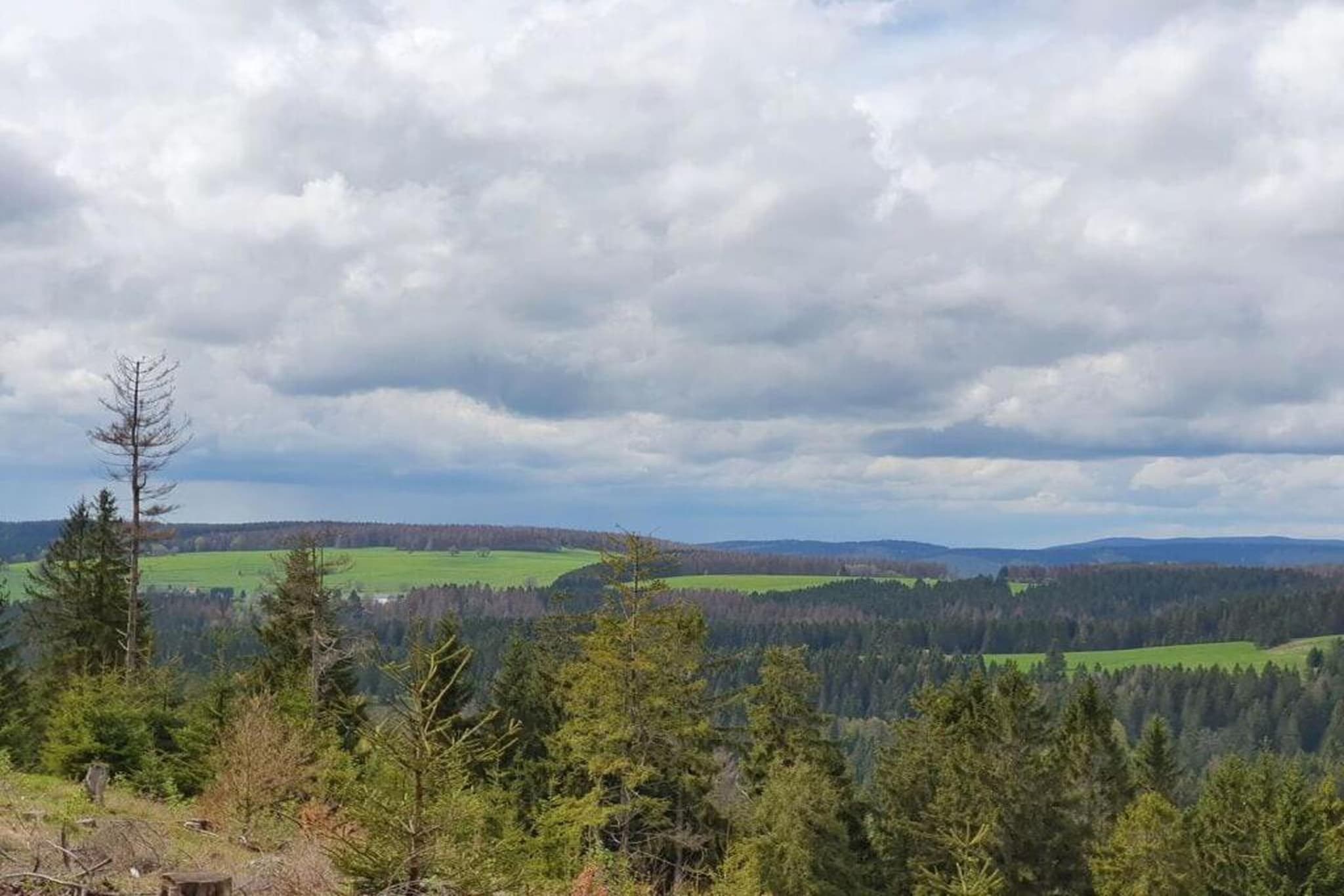 Alina-Gebiete Sommer 20 km