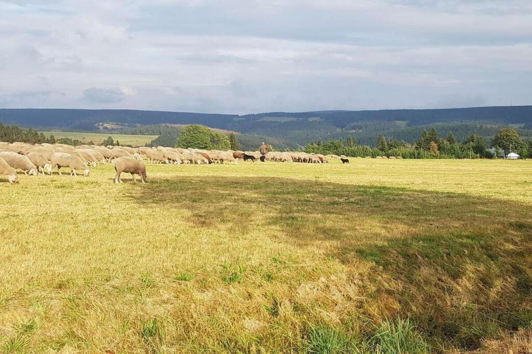 Alina-Gebiete Sommer 20 km