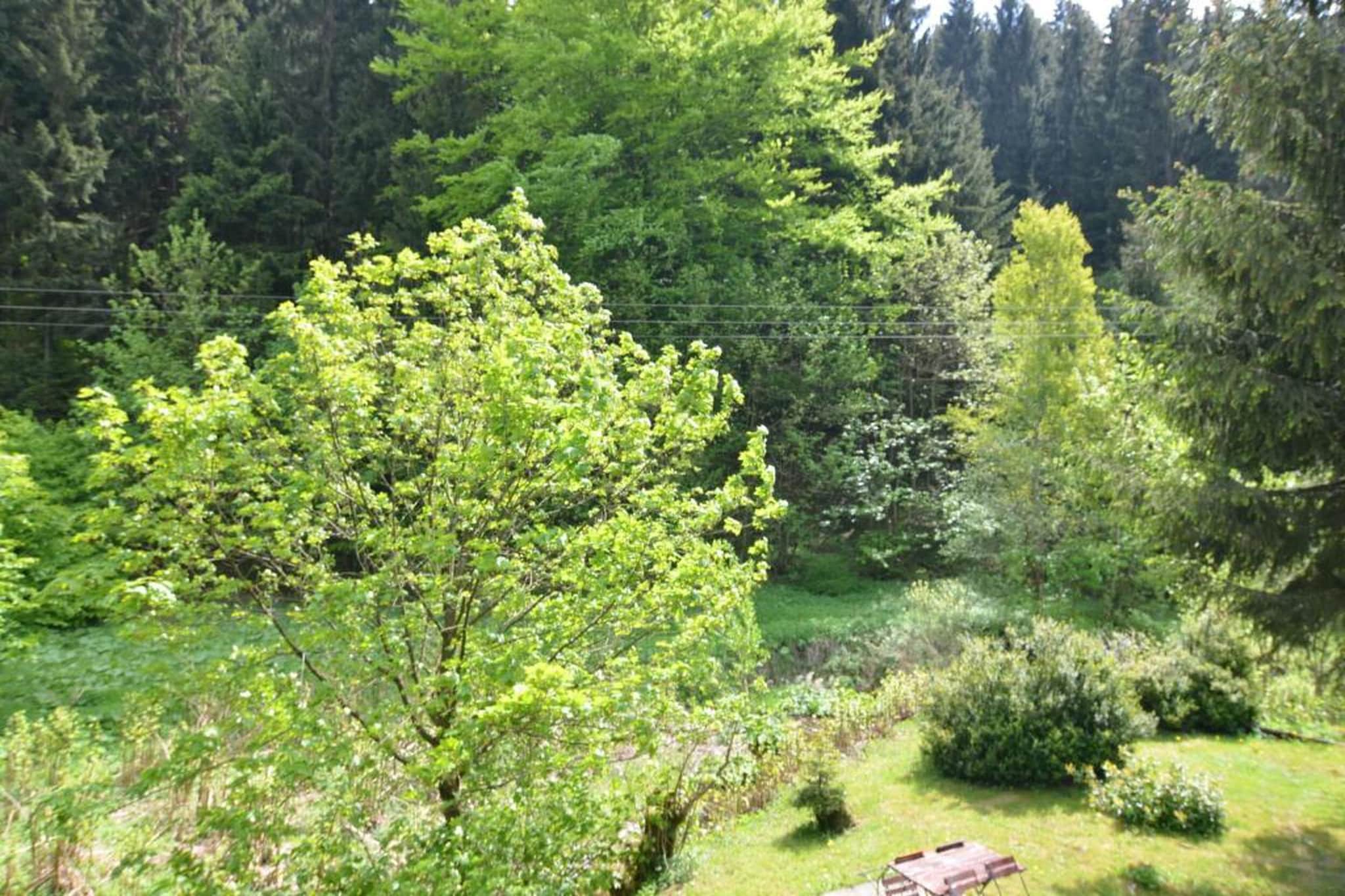 Alina-Gebiete Sommer 20 km