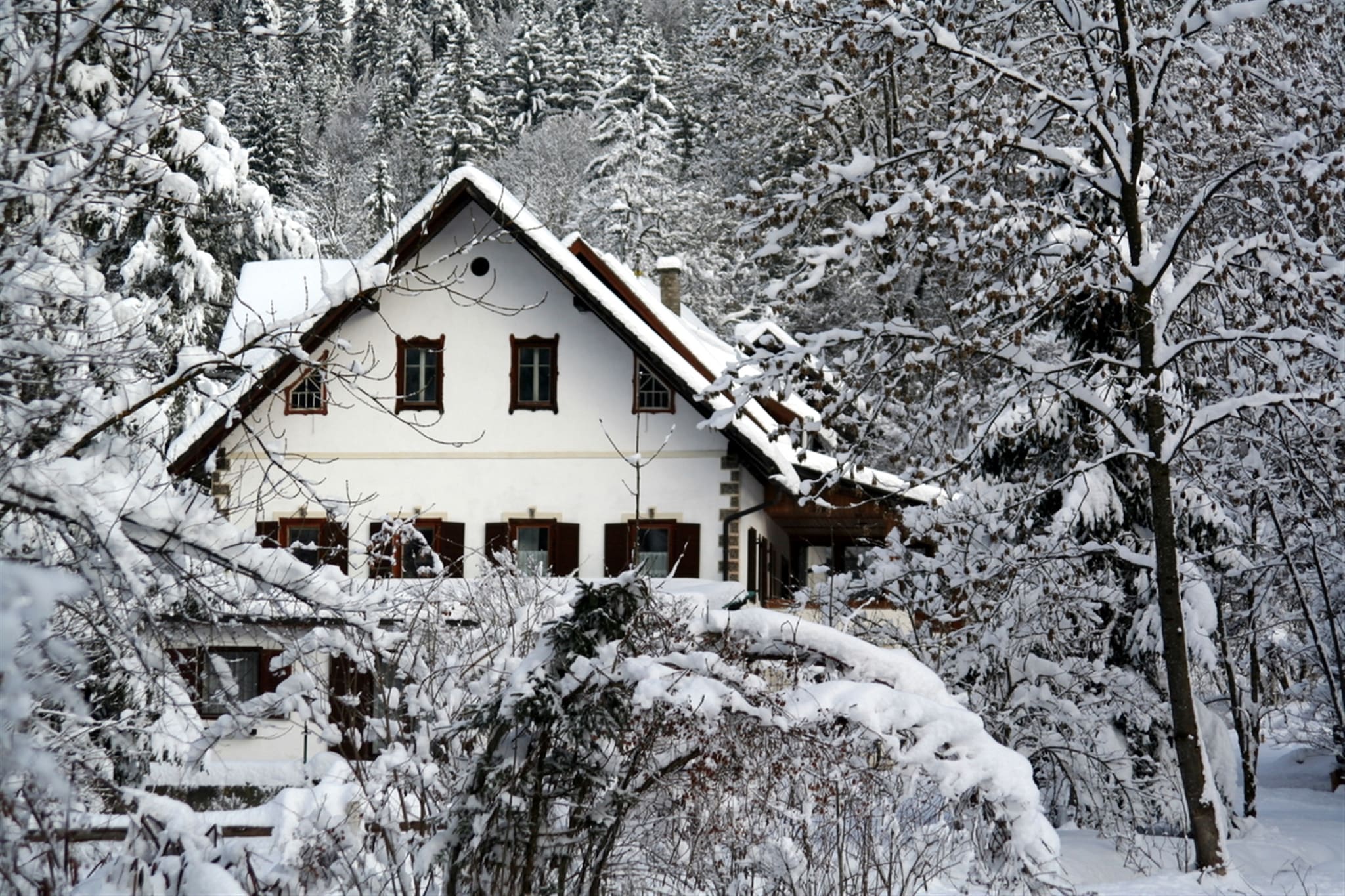 This beautiful, large holiday home for a maximum of 8 people is located in Hermagor / Pressegger See in Carinthia, directly in an idyllic mountain valley between the famous Weißensee (15 km), the warm Pressegger See (5 km) and the large ski area of Nassfeld (19 km).
It has its own entrance area, a large living room with a seating area and dining area, a fully equipped kitchen, 3 bedrooms (1 of which has a second double bed) and 2 bathrooms. There is a private shaded terrace in front of the house and in the huge sunny garden there is a covered barbecue area and a pool. The house also has a washing machine and dryer. You can park directly at the house.
Hermagor is located in the Nassfeld - Pressegger See region and offers countless hiking routes, bicycle and mountain bike tours and beautiful panoramic views. The house is only 5 km from the center of Hermagor and 12 km from the small ski area in Weißbriach/Gitschtal. The well-known Nassfeld ski area, Carinthia's most modern ski area, offers 110 kilometers of slopes and 30 cable cars and lifts can be reached in approx. 19 km by car. You can also reach Italy in about 45 minutes by car.
In the summer months it is possible to visit the so-called “terrace†directly at the location. Under the old weeping willow you can enjoy various drinks, ice cream creations, salads and numerous dishes. Breakfast or brunch is possible by arrangement.
Directly in Hermagor there are plenty of shopping opportunities for your daily needs as well as a good selection of restaurants.
