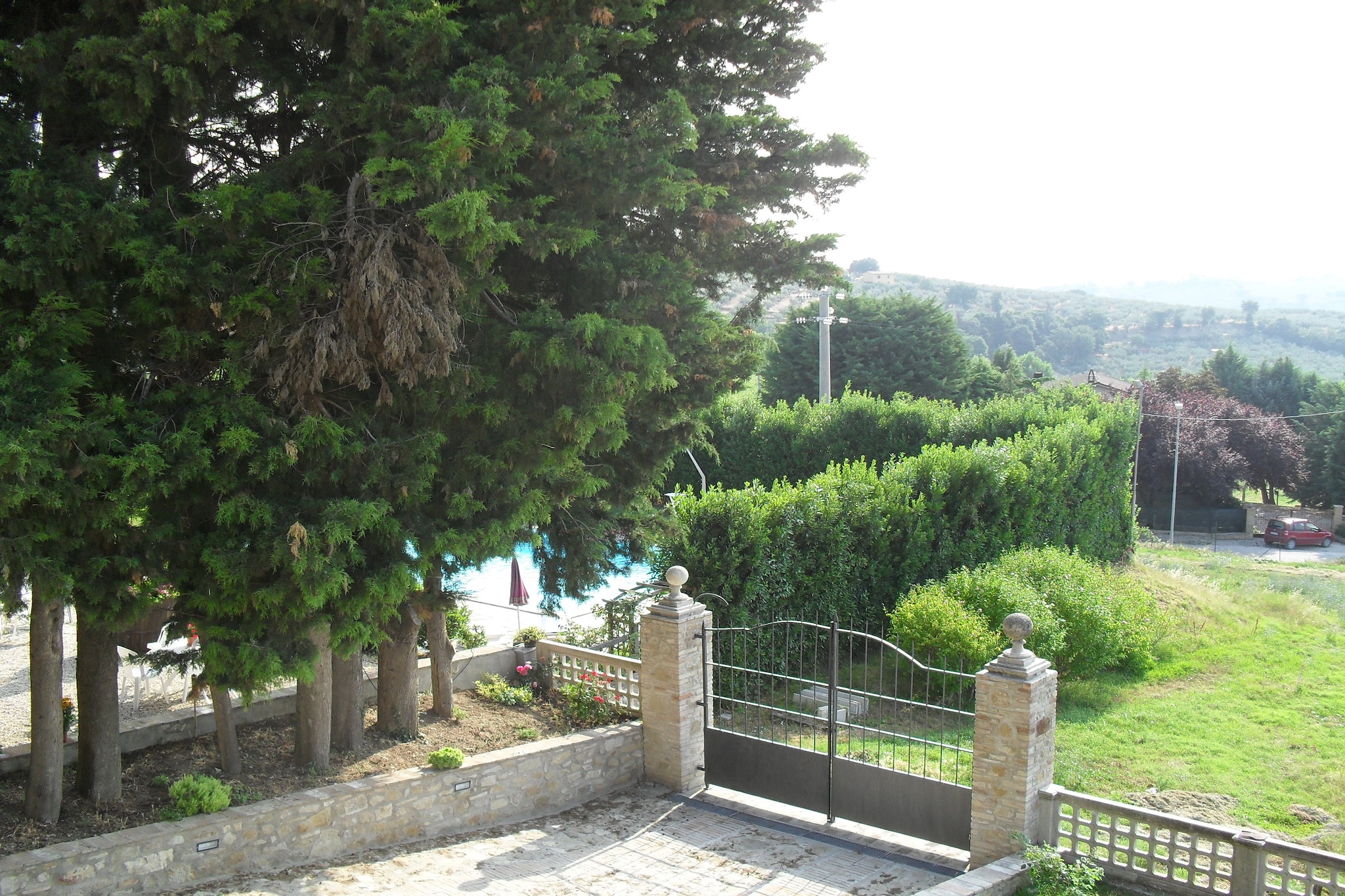 Glicine-Gardens summer