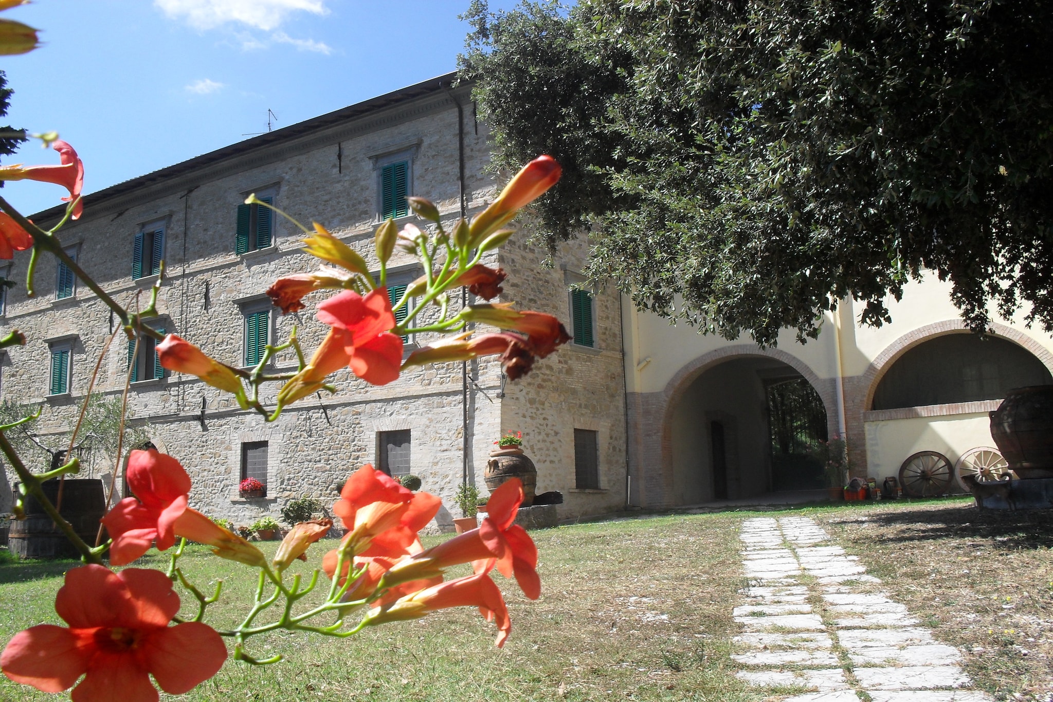 Glicine-Exterior summer