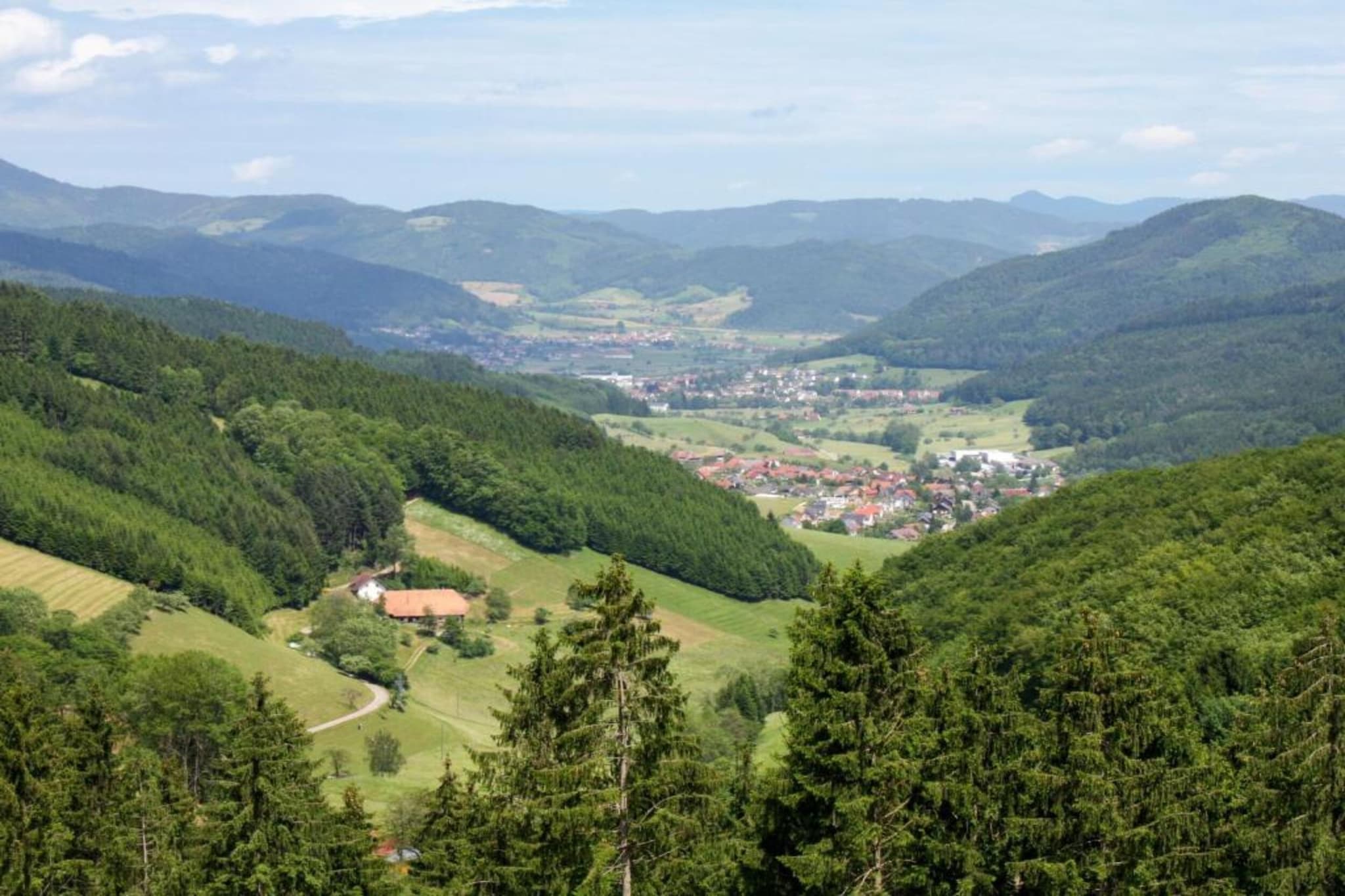 Am Stulzenhof-Gebiete Sommer 20 km