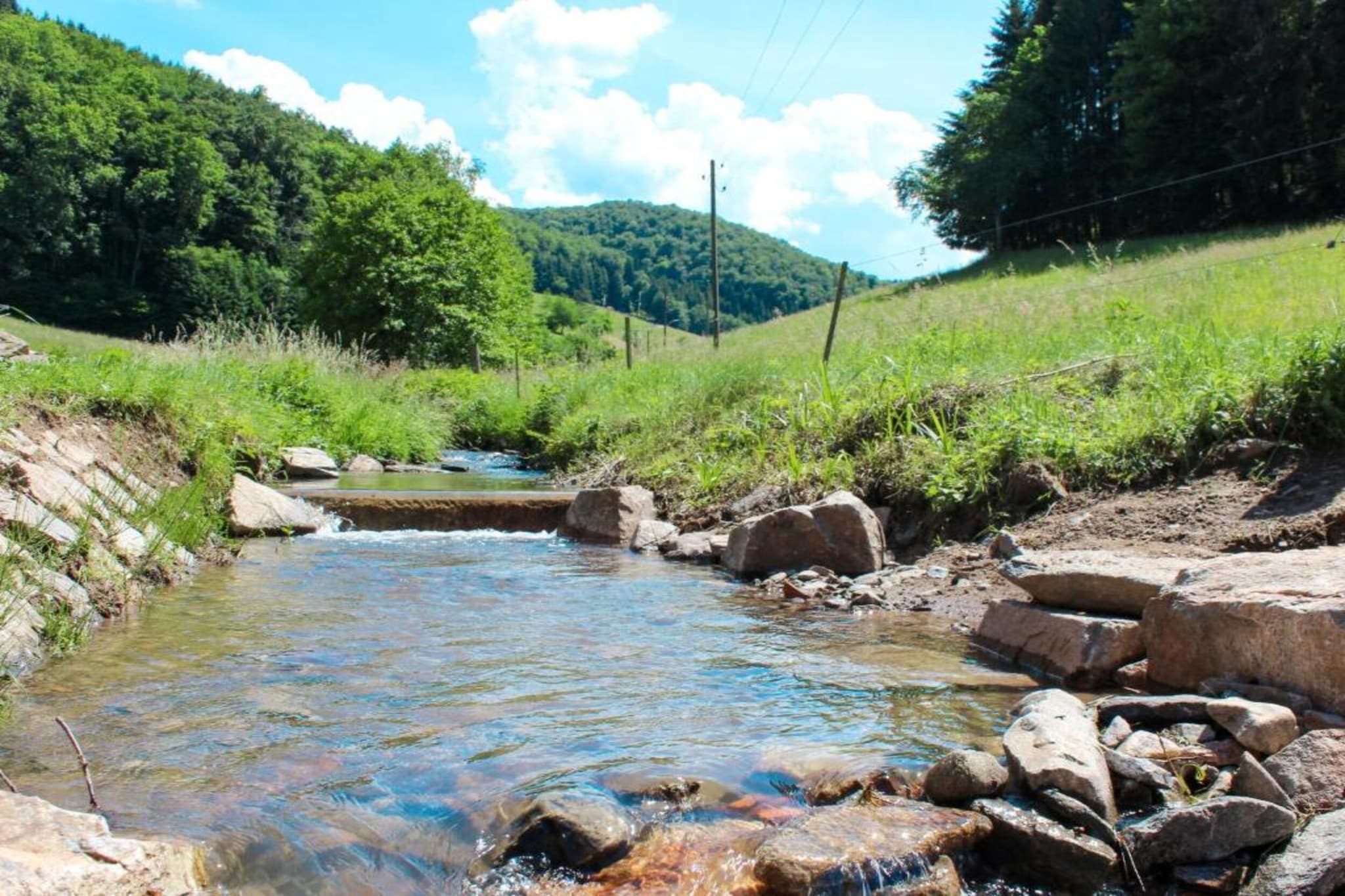 Am Stulzenhof-Gebiete Sommer 20 km