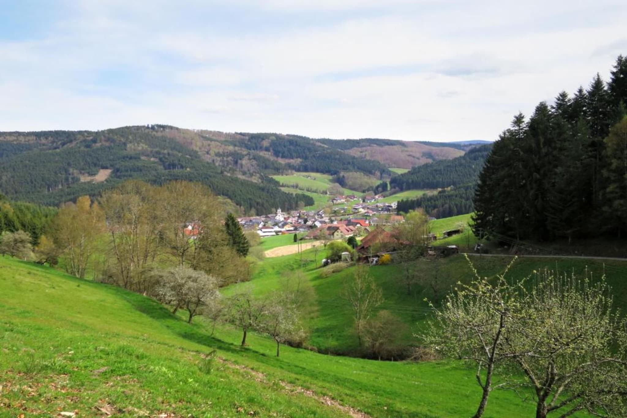 Am Stulzenhof-Gebiete Sommer 20 km