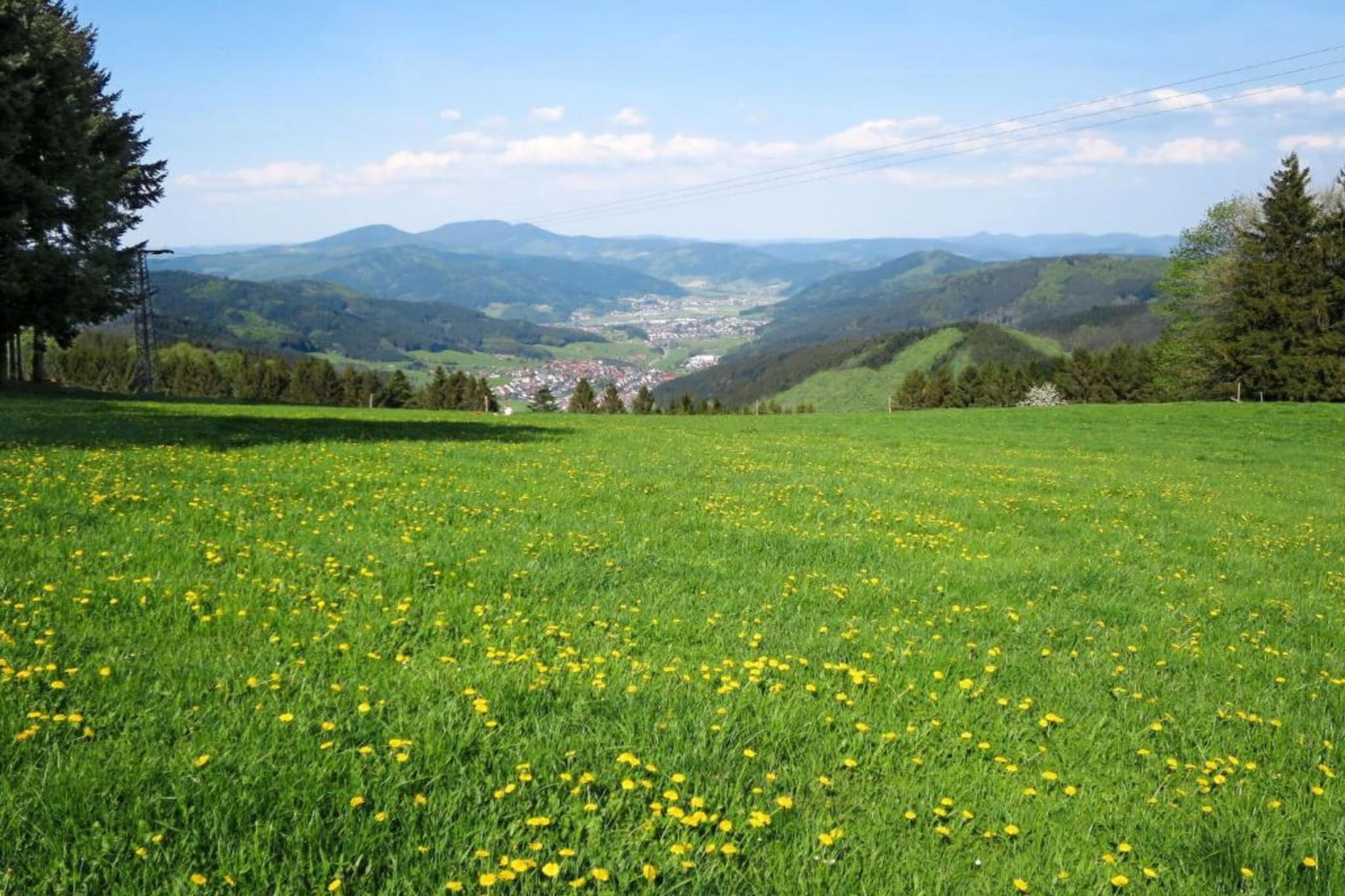Am Stulzenhof-Gebiete Sommer 20 km