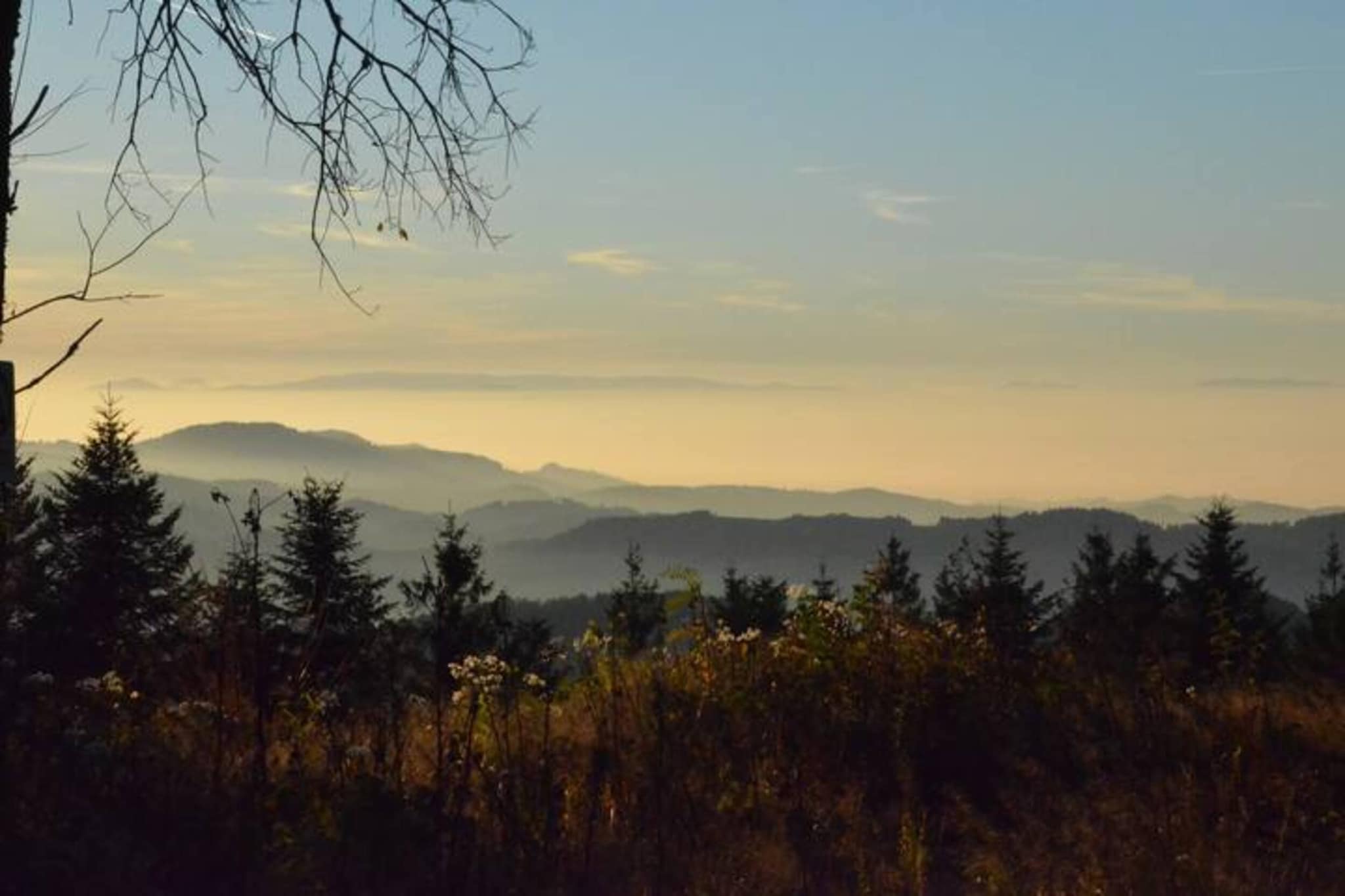Am Stulzenhof-Gebiete Sommer 20 km