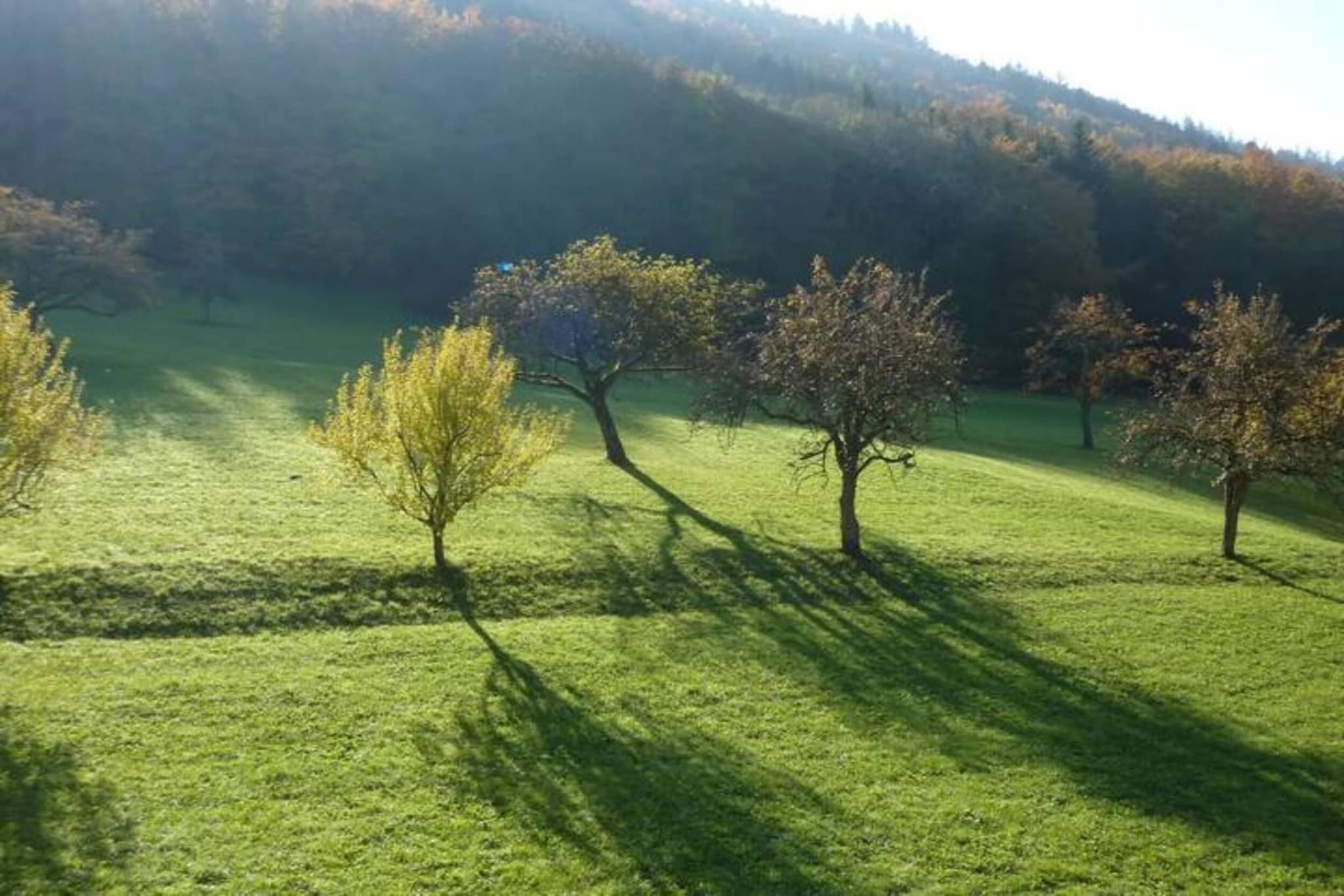 Am Stulzenhof-Gebiete Sommer 20 km