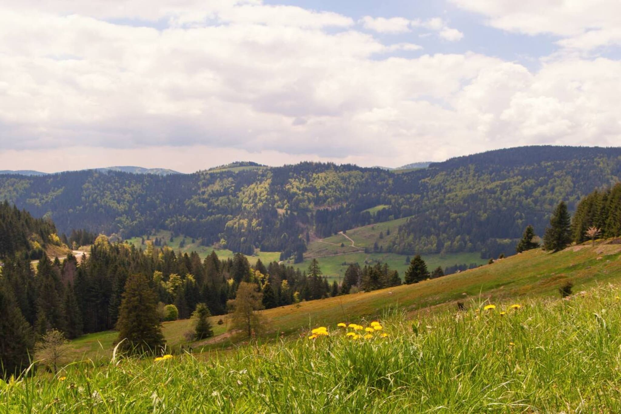 Am Stulzenhof-Gebiete Sommer 20 km