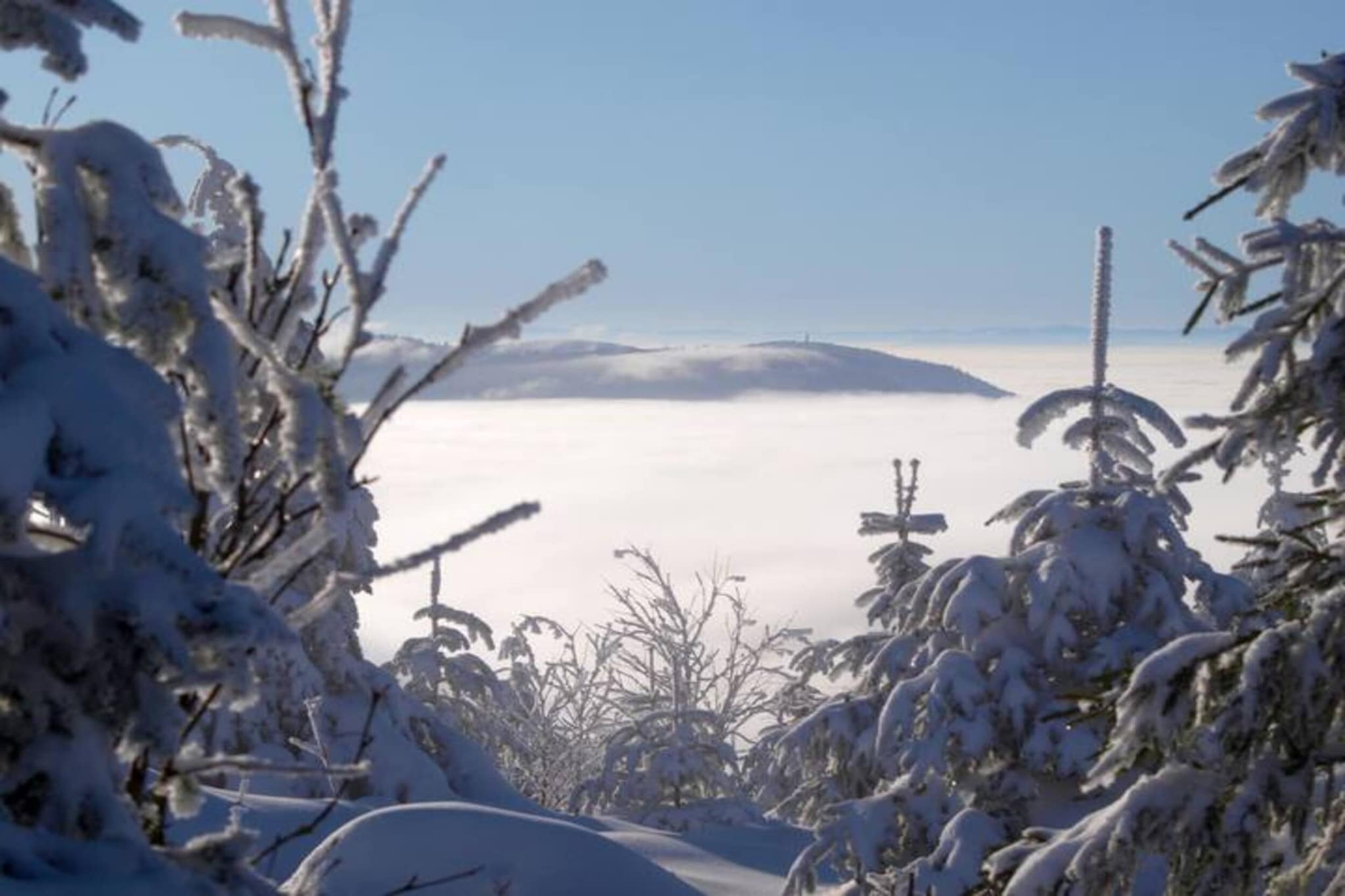Am Stulzenhof-Gebiet Winter 20 km