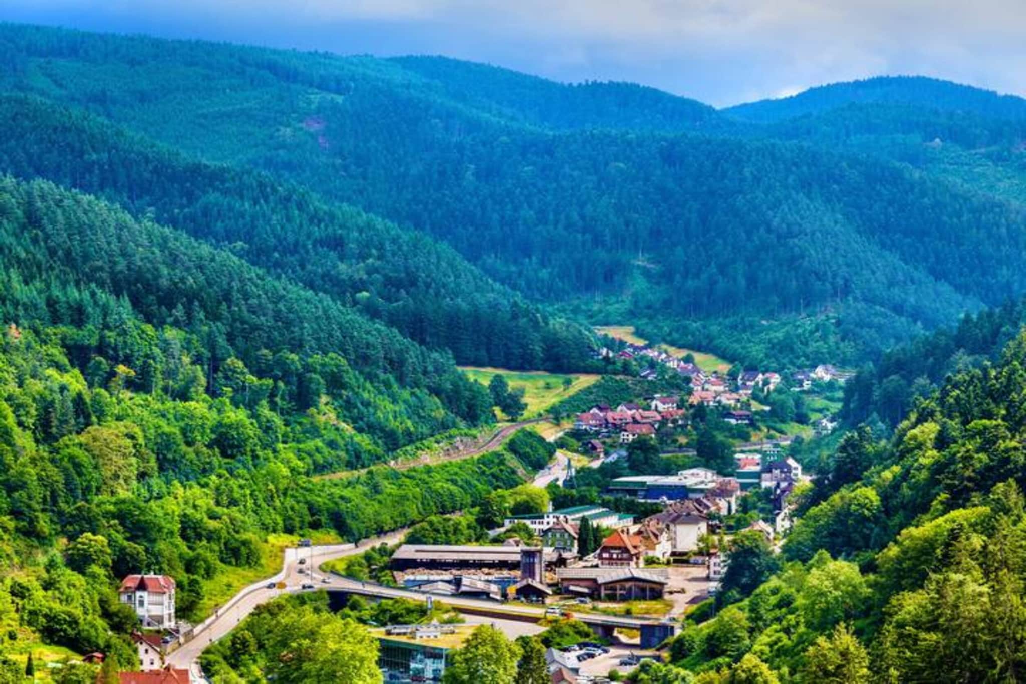 Am Stulzenhof-Gebiete Sommer 20 km