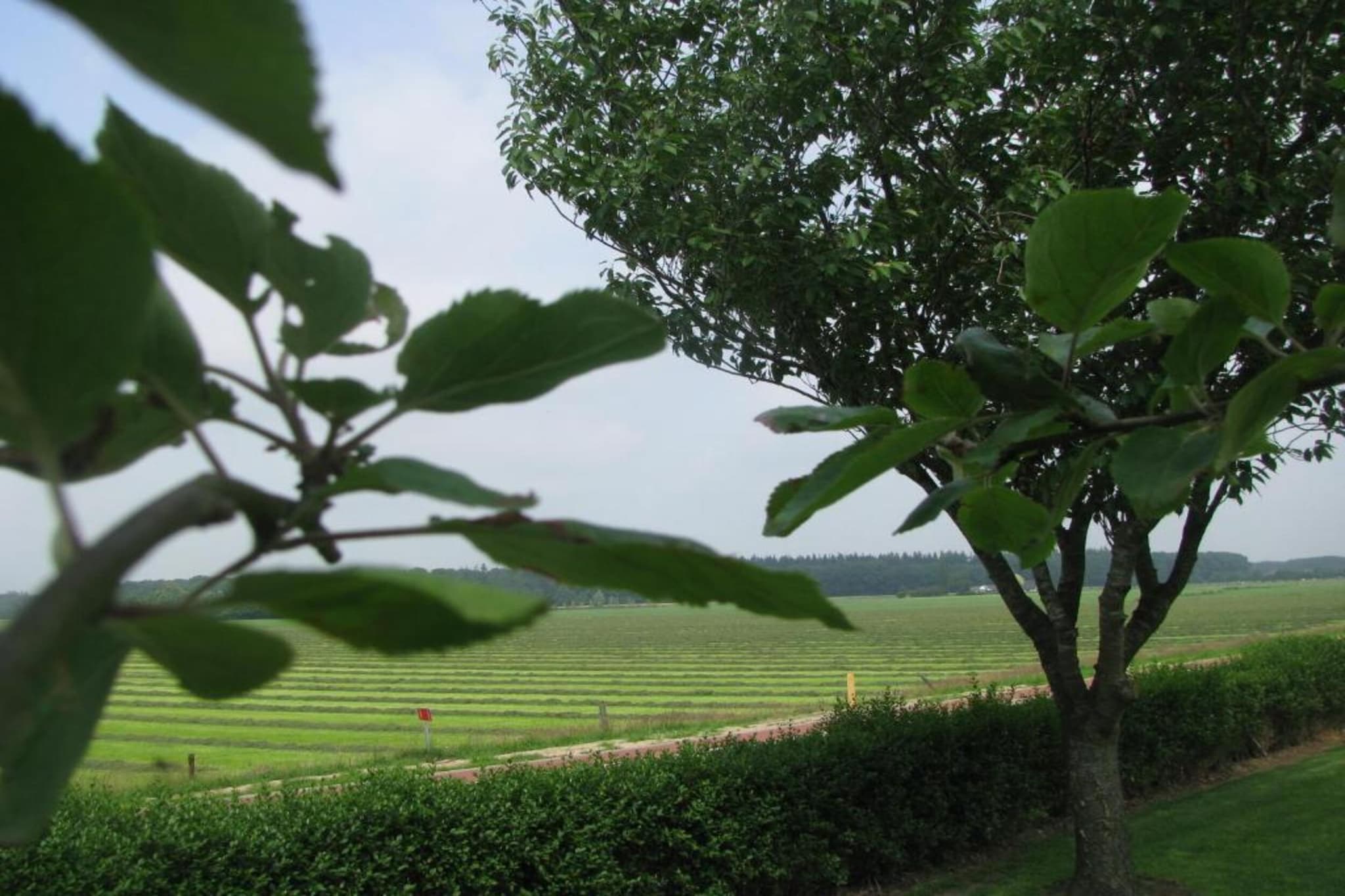 Buitenplaats Gerner 5-Gebiete Sommer 20 km