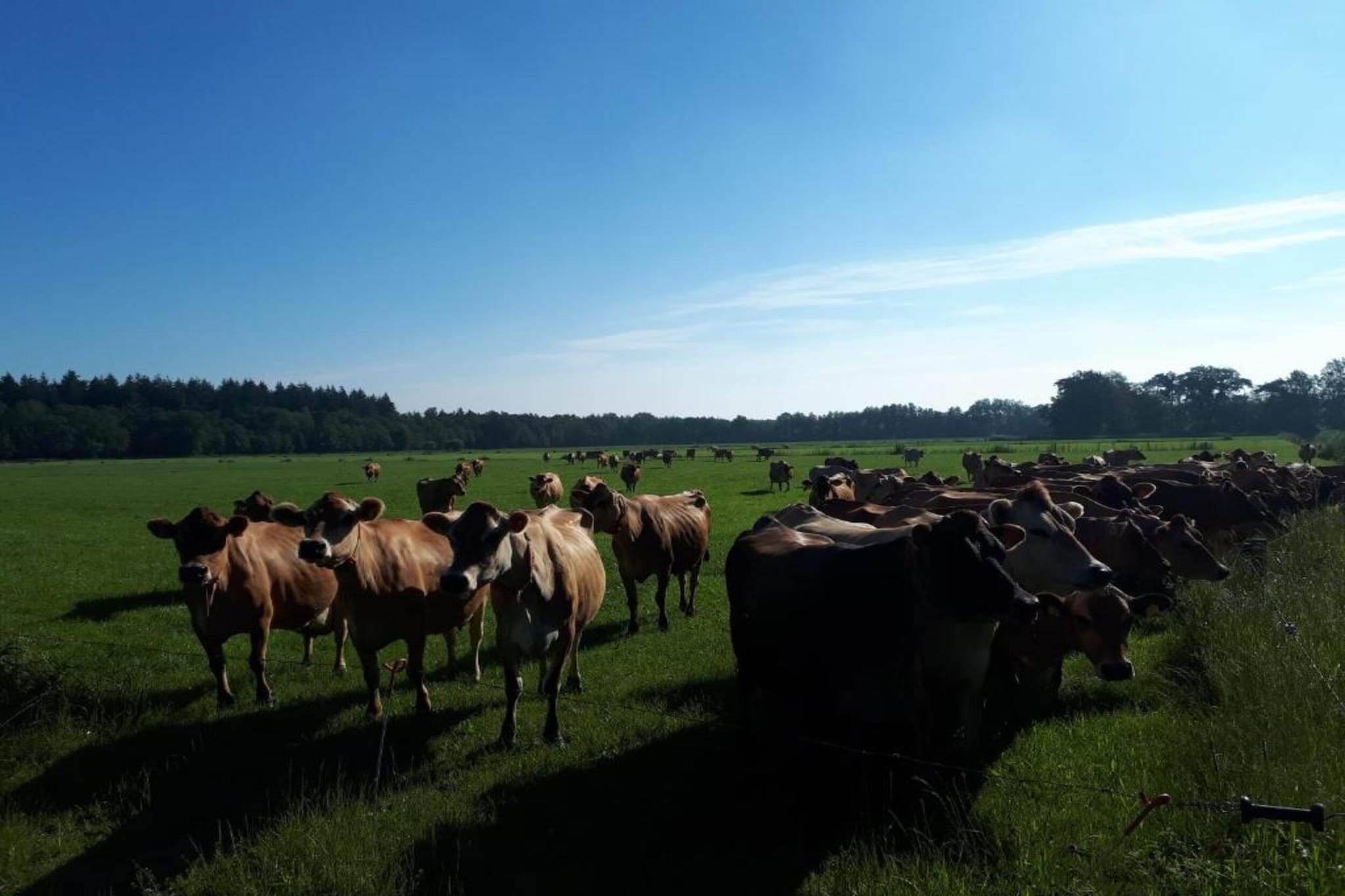 Buitenplaats Gerner 5-Gebiete Sommer 20 km