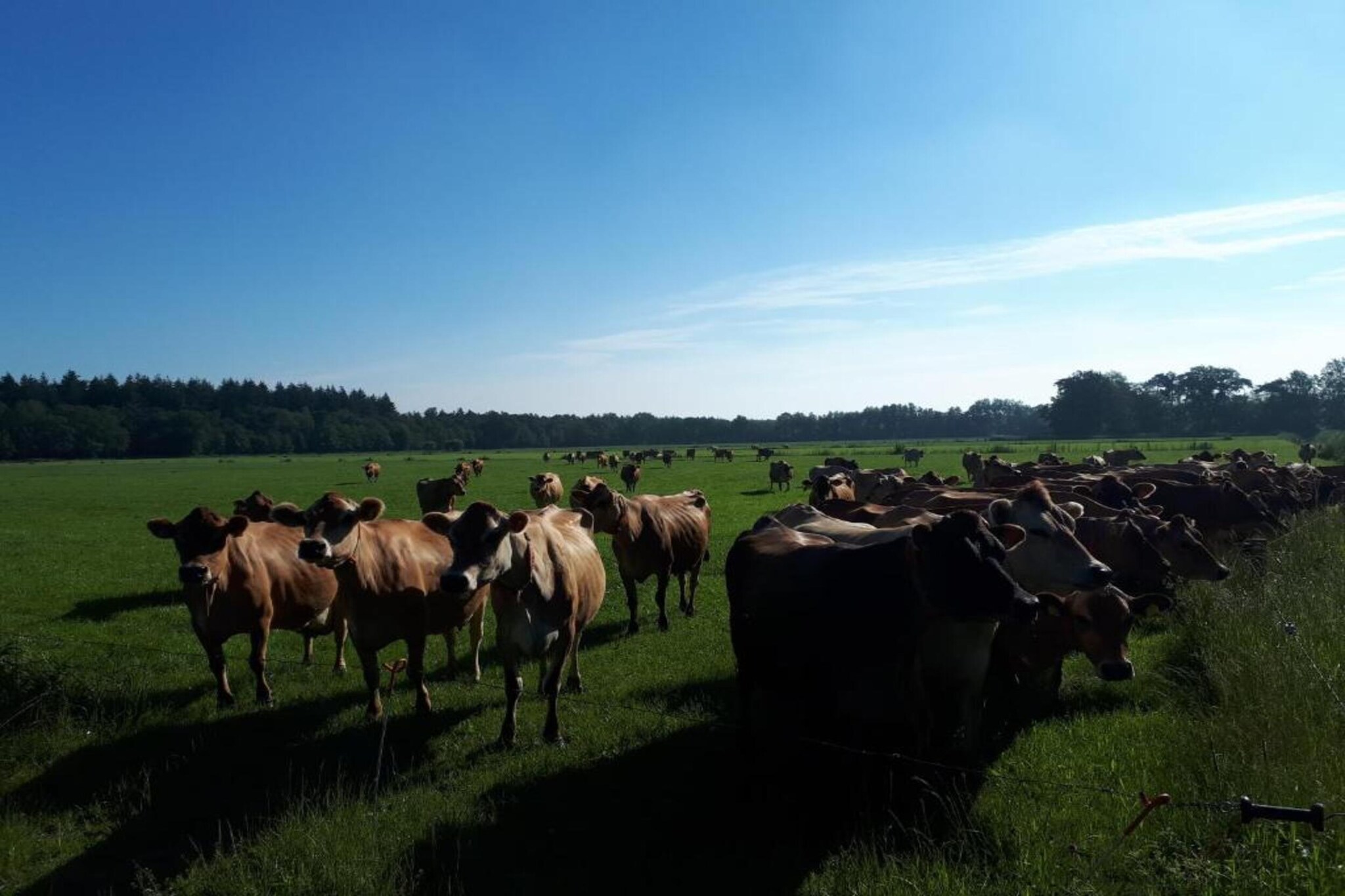 Buitenplaats Gerner 4-Zones d'été à 20 km