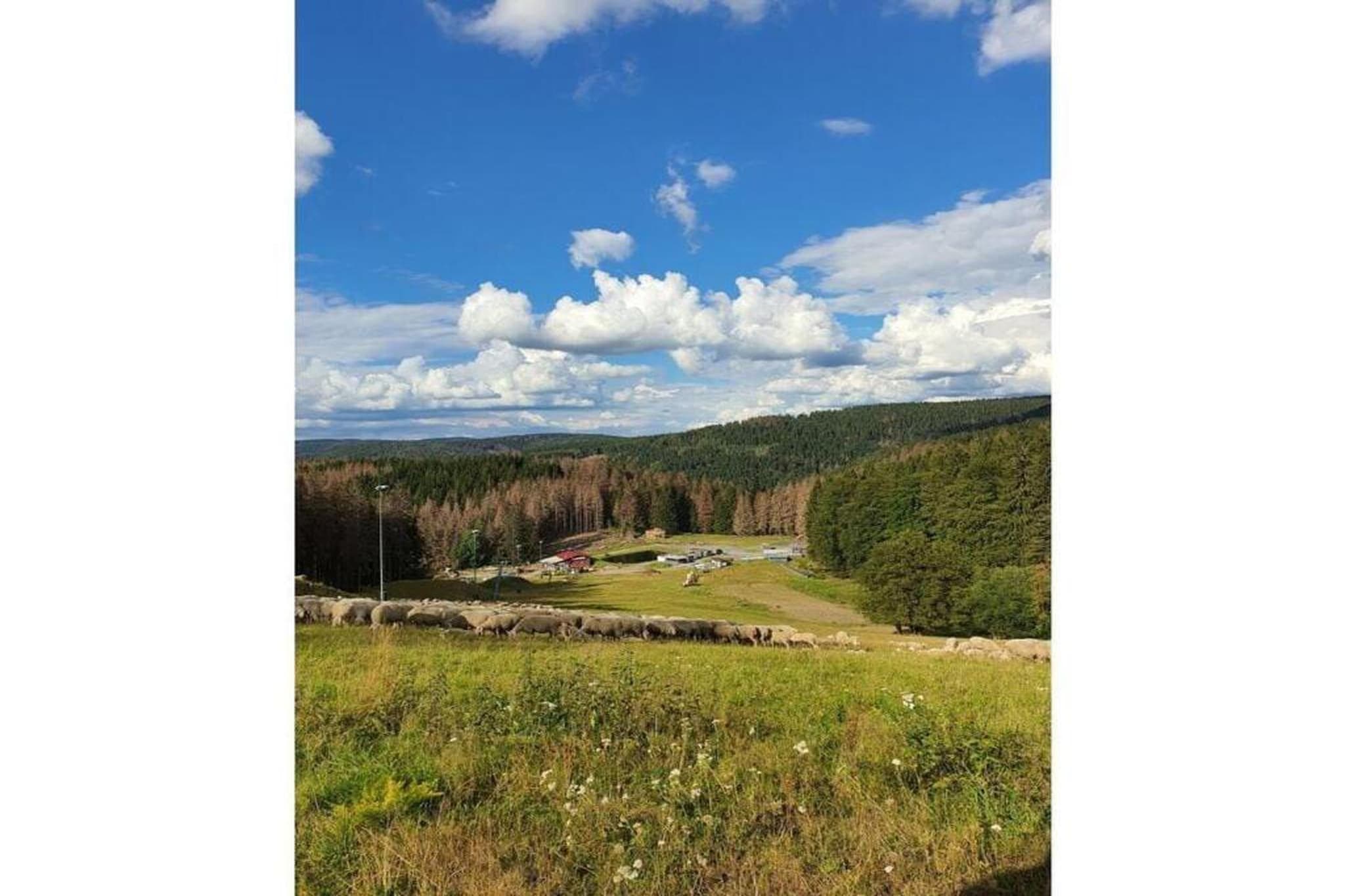 Knusperhäuschen-Gebieden zomer 20km