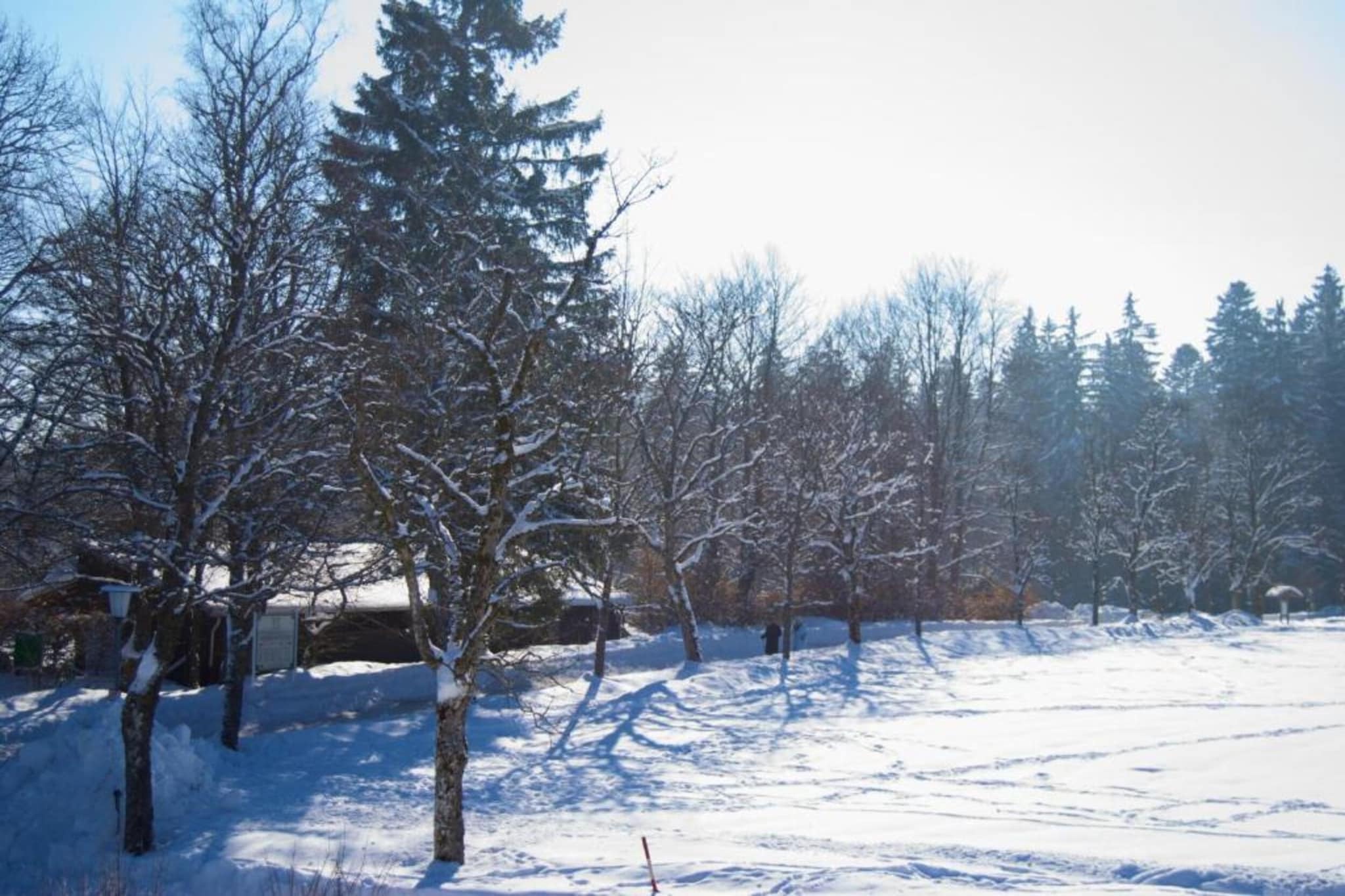 Kniebis-Gebiet Winter 20 km