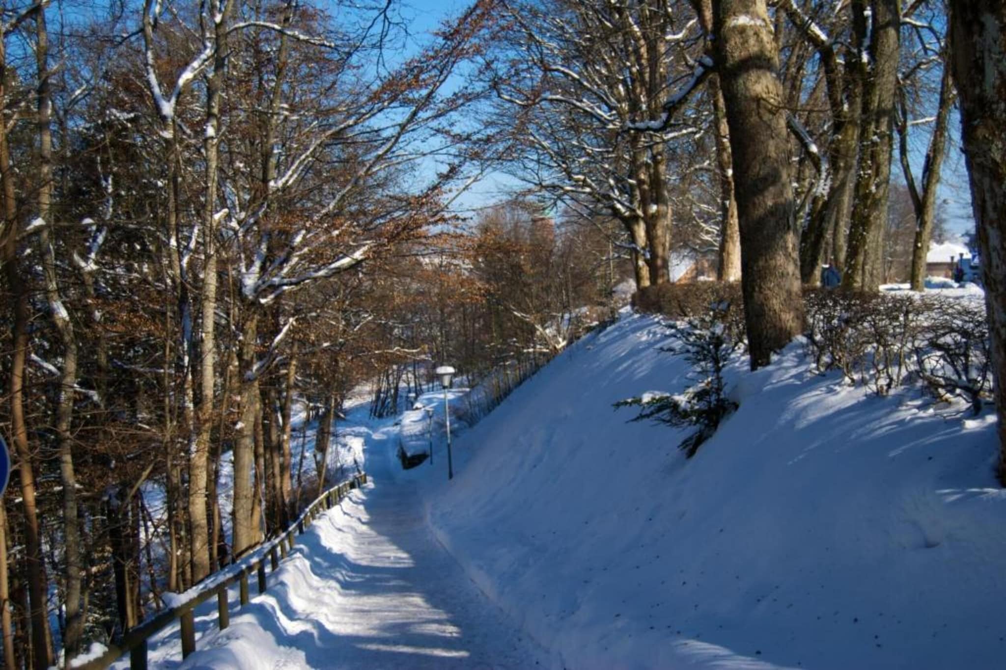 Kniebis-Gebiet Winter 20 km