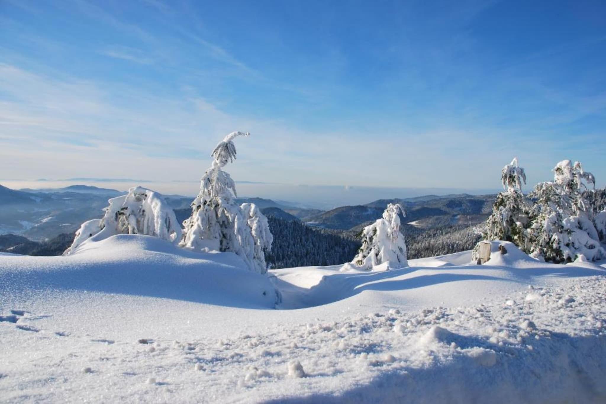 Kniebis-Gebiet Winter 20 km