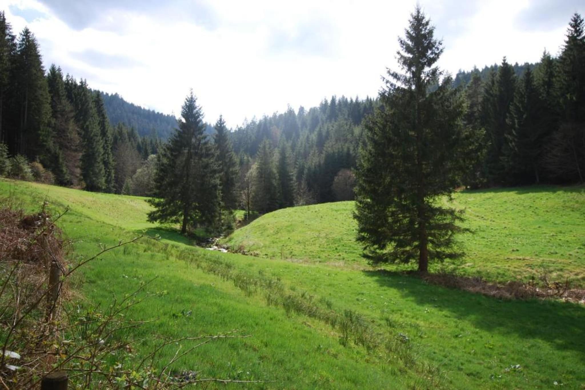 Kniebis-Gebiete Sommer 20 km